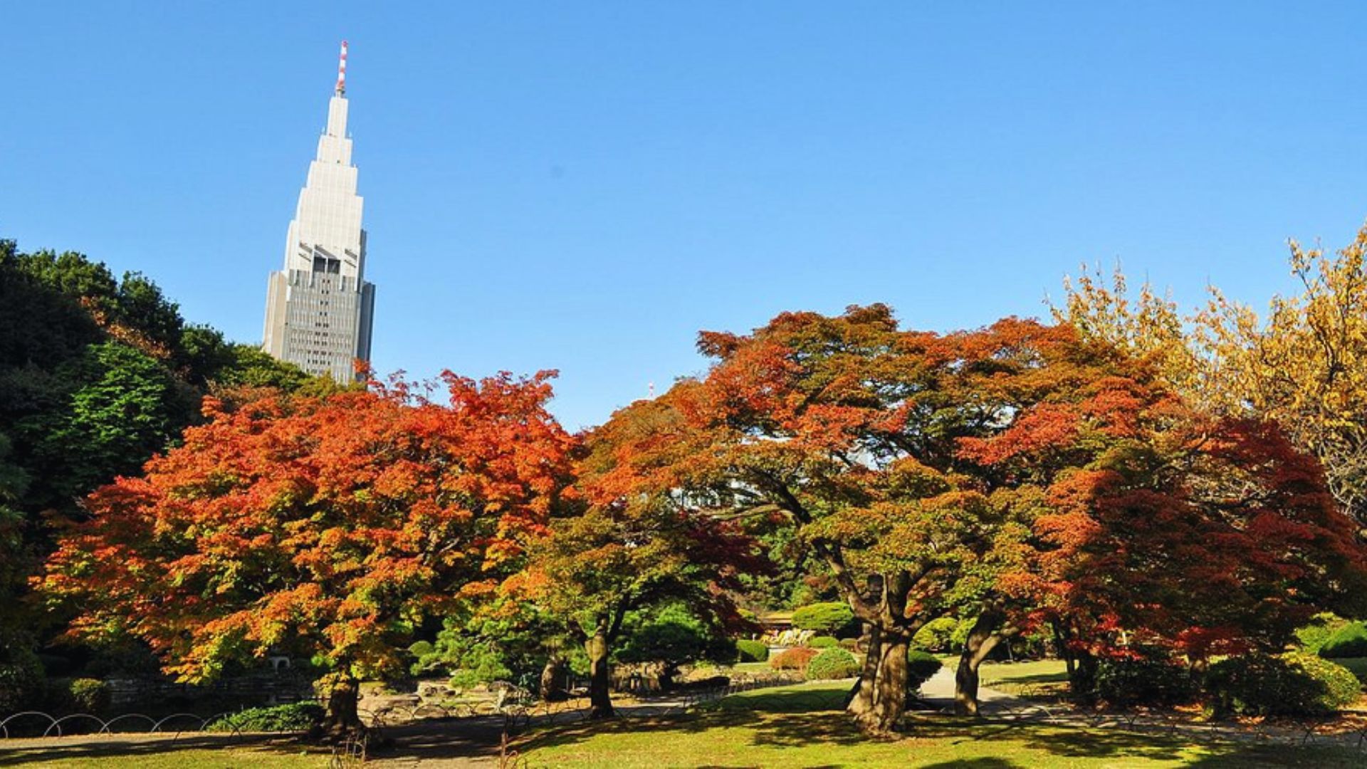 A park featuring lush trees with a tall building visible in the background against a clear sky.