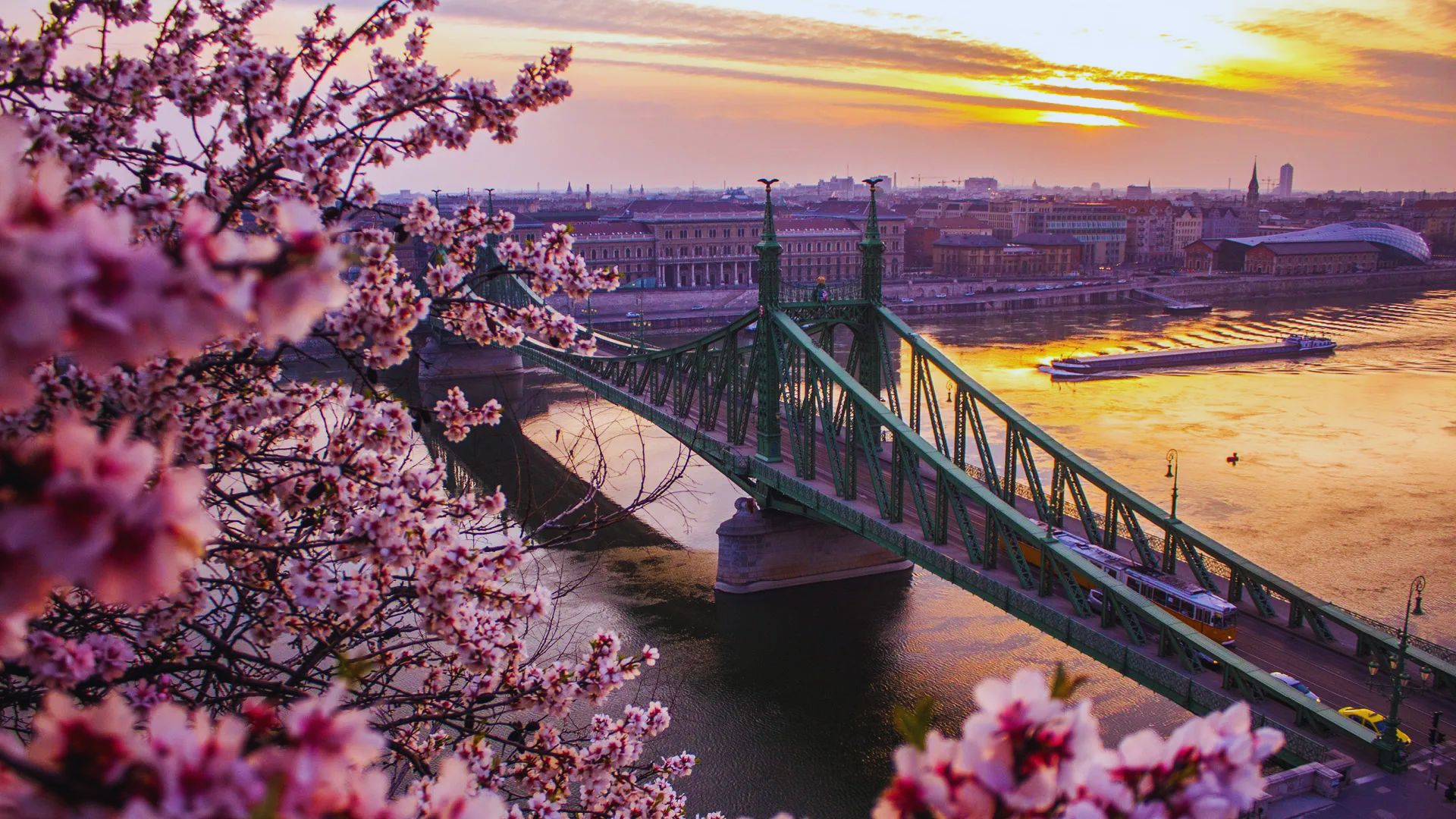 Budapest bridge at sunset, framed by blooming pink flowers, creating a serene and picturesque scene.