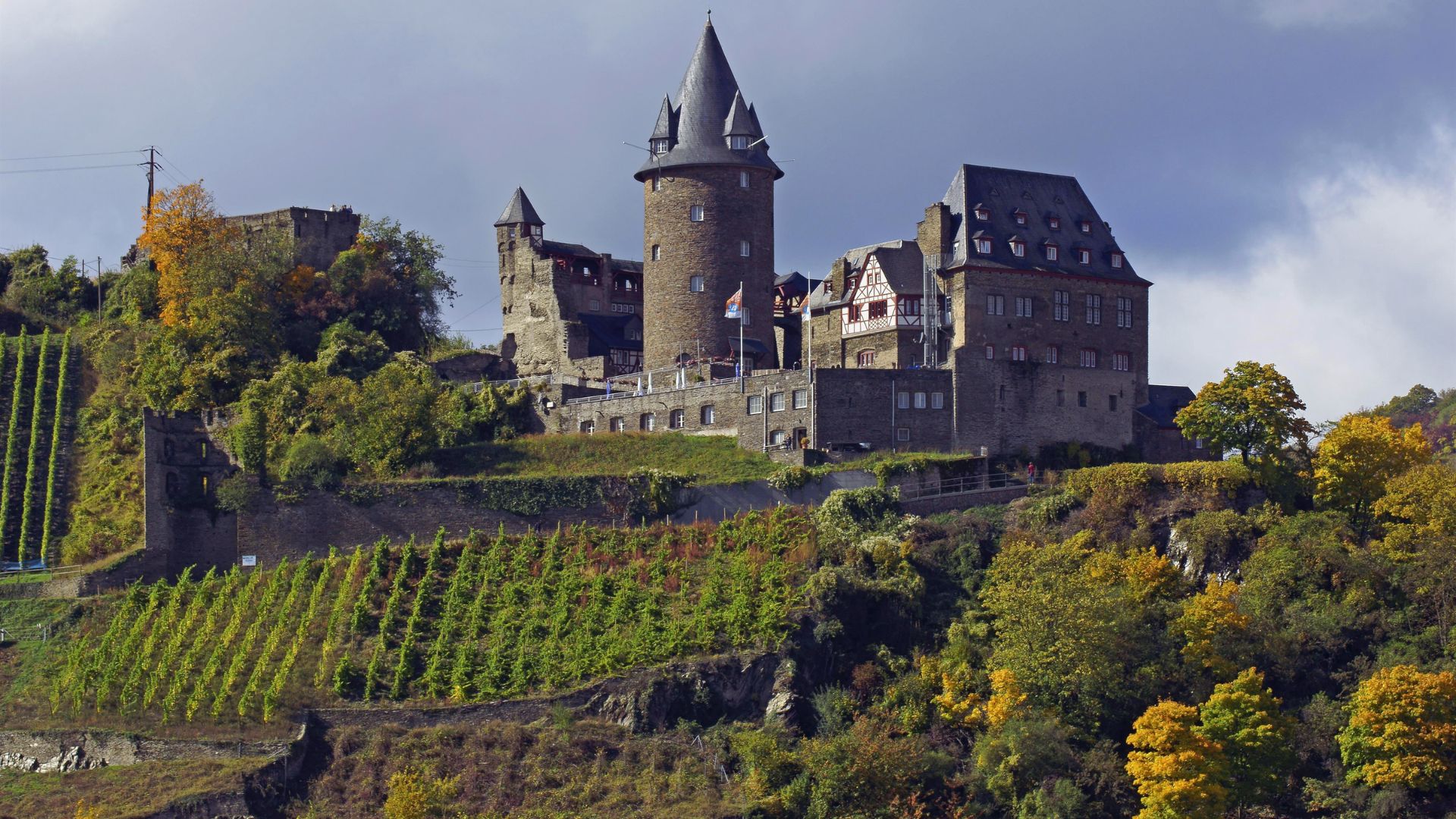 A castle perched on a hill, adorned with lush green vines climbing its stone walls.