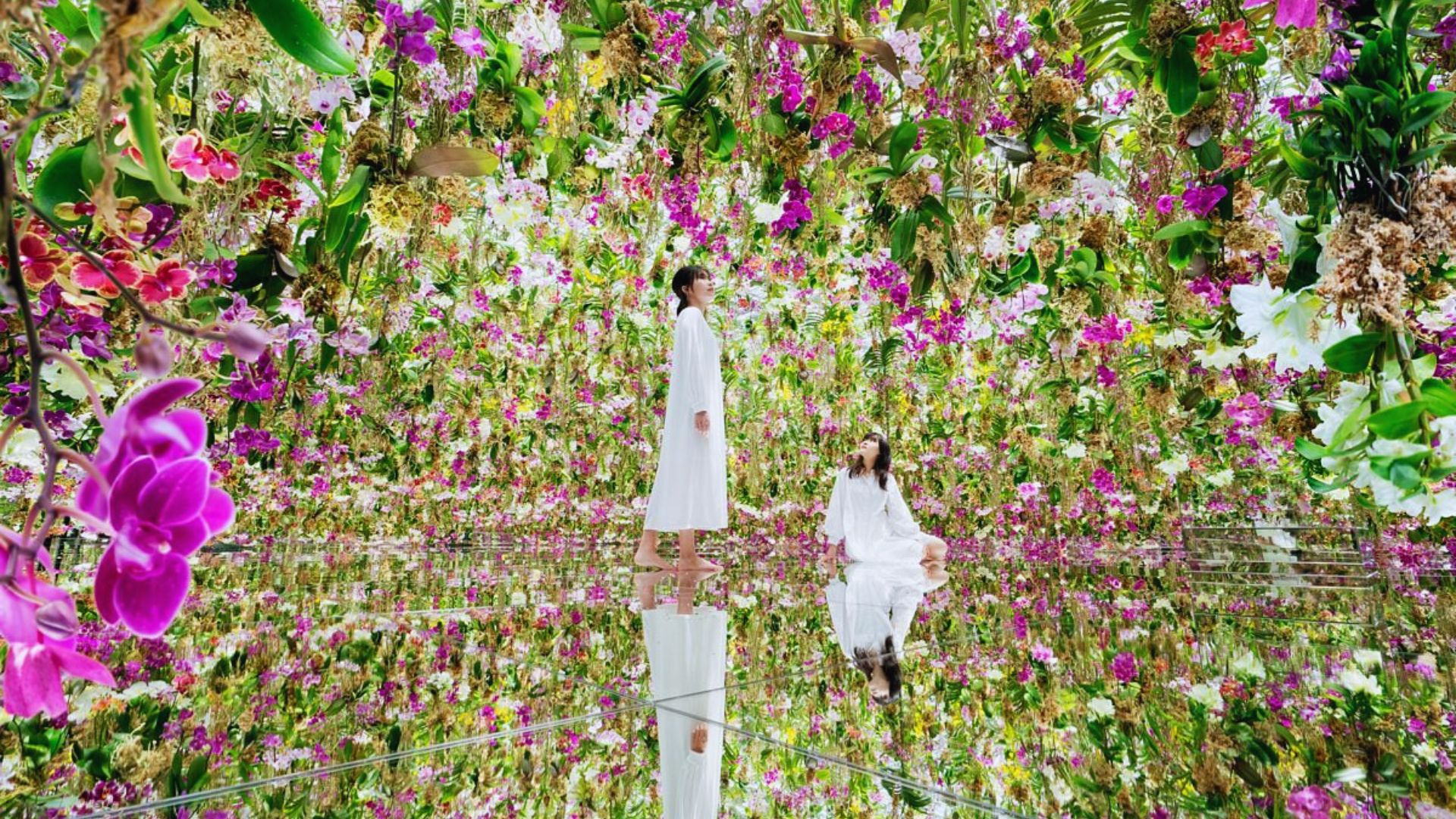 A woman poses in a room adorned with various flowers, enhancing the space's beauty and warmth.