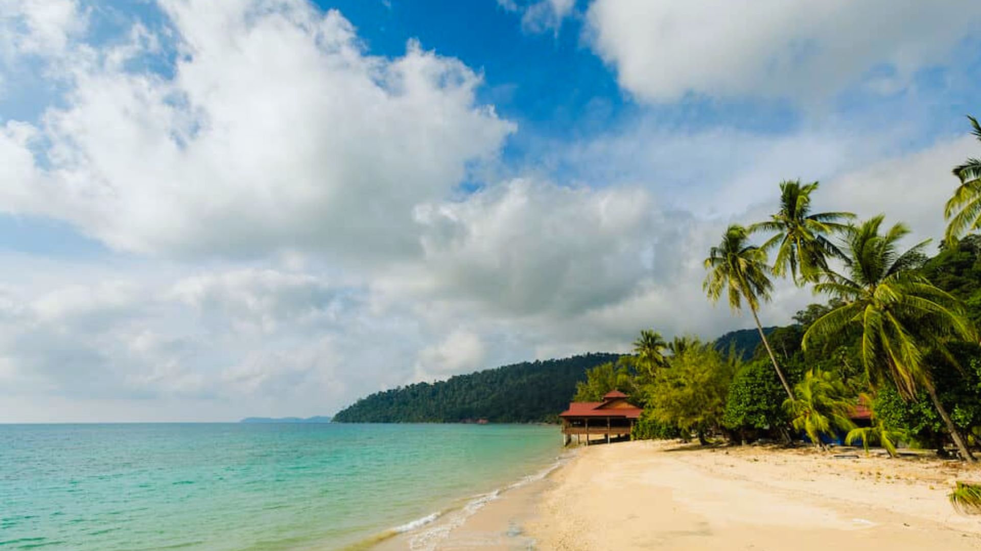 A serene beach scene featuring palm trees and a hut along the shoreline, evoking a tropical paradise.