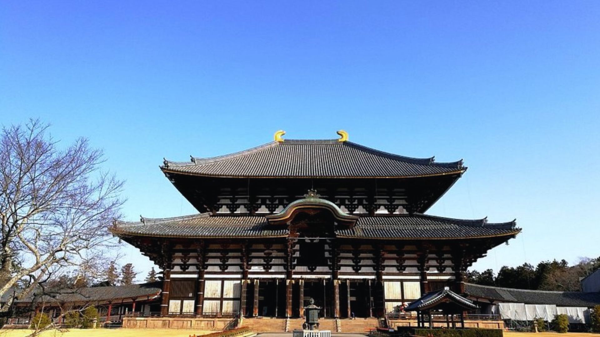 A serene Buddhist temple in Kyoto, Japan, surrounded by lush greenery and traditional architecture.
