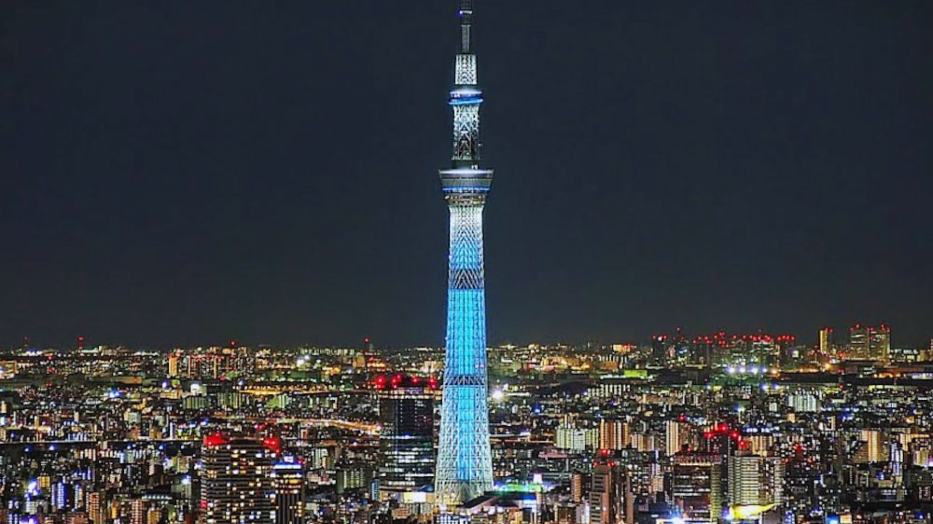 Night view of Tokyo Tower glowing in blue and white hues.