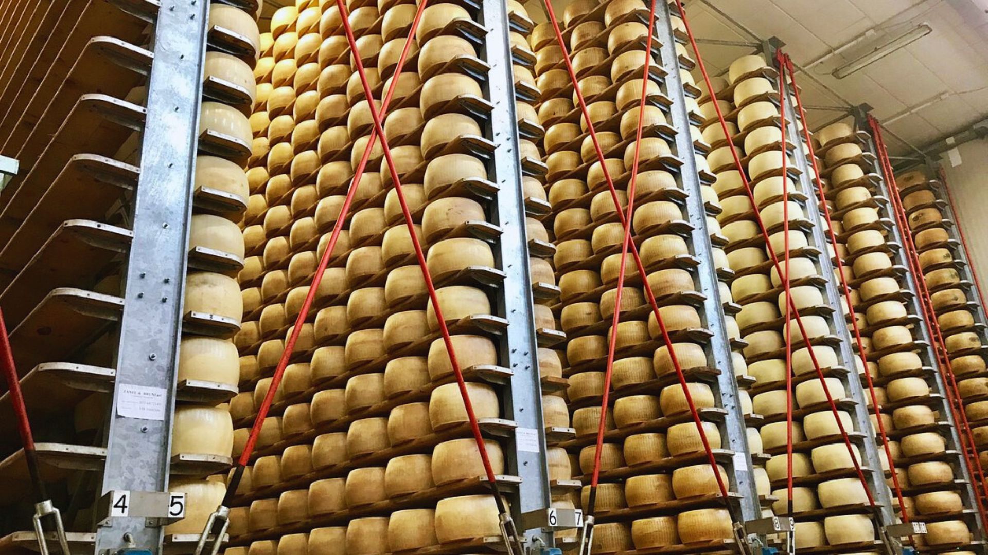 A spacious room filled with various cheese wheels stacked neatly on shelves and tables.