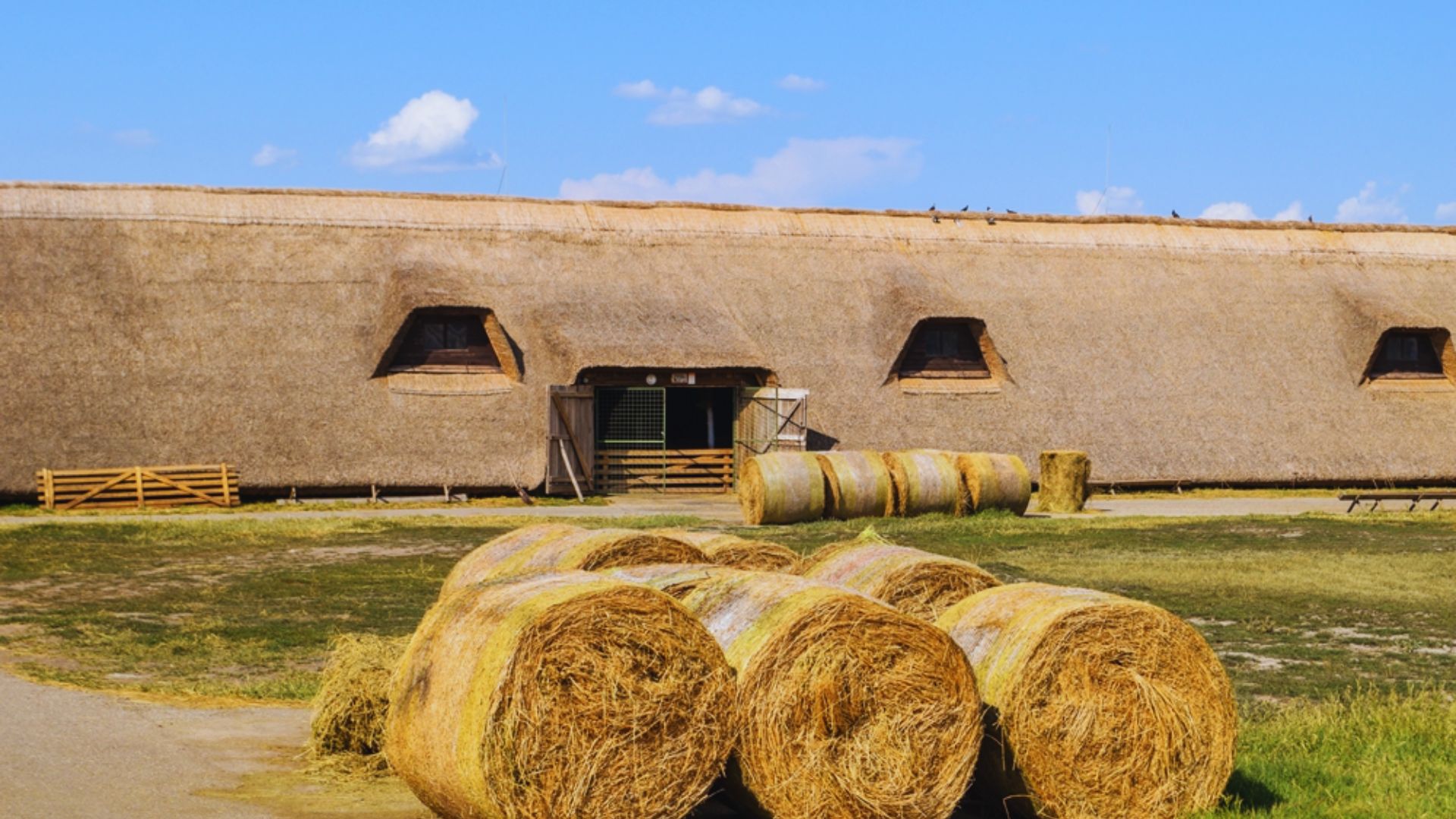 A large haystack stands in front of a traditional thatched building, showcasing rural architecture and agricultural life.