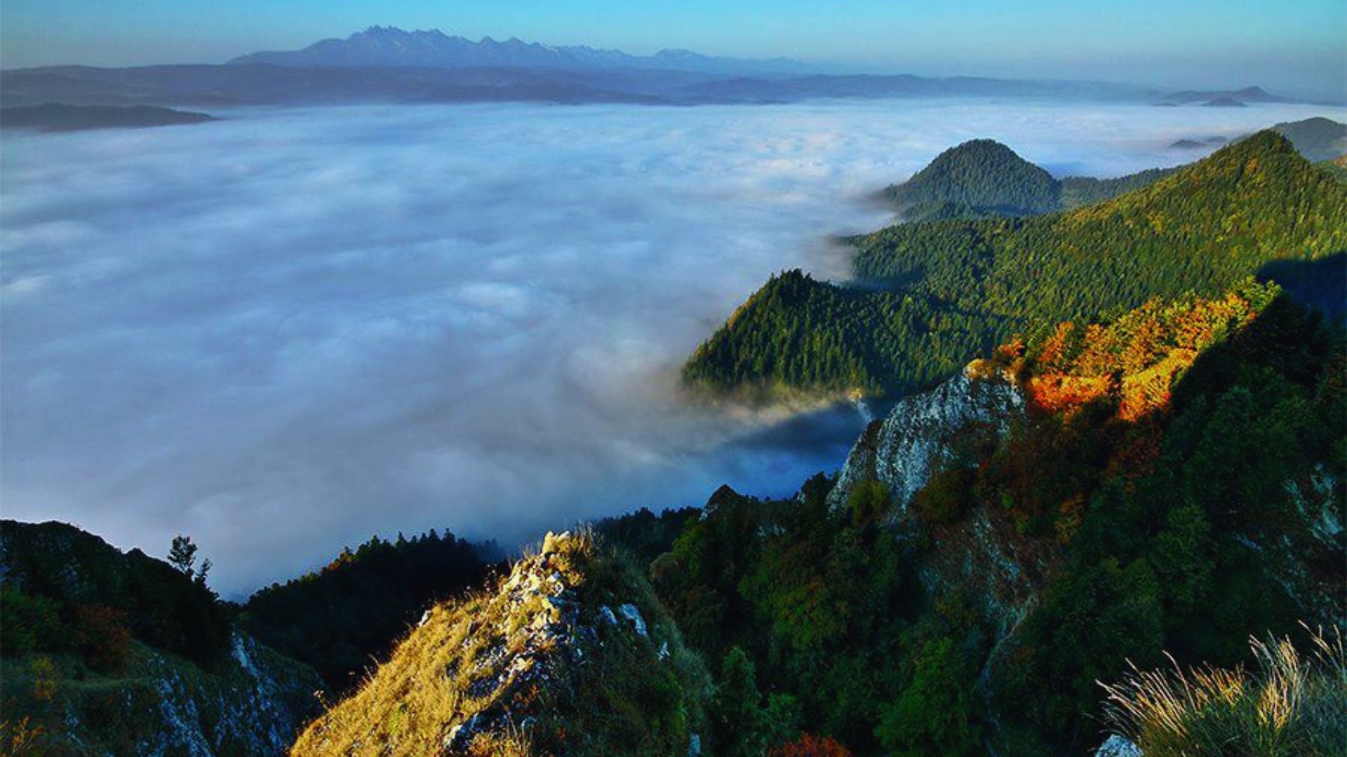 Aerial view of majestic mountains partially covered by clouds, showcasing a serene and expansive natural landscape.