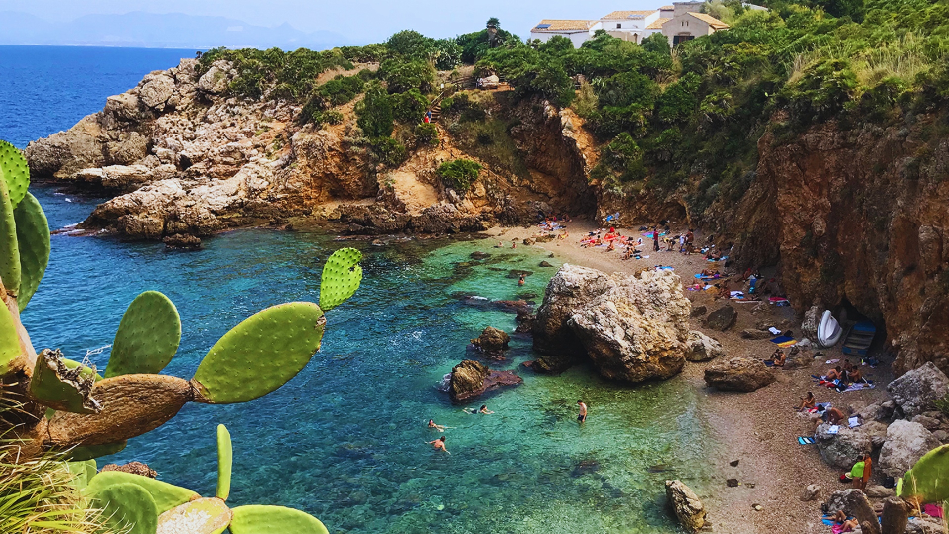 A beach scene featuring cactus plants and several people enjoying the sun and sand.