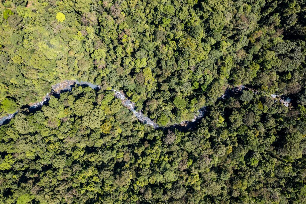 How to Spot Costa Rica’s Most Incredible Wildlife: A Region-by-Region Guide Aerial view of a lush green forest with a winding river cutting through the dense canopy, creating a serene, natural pattern and conveying tranquility.