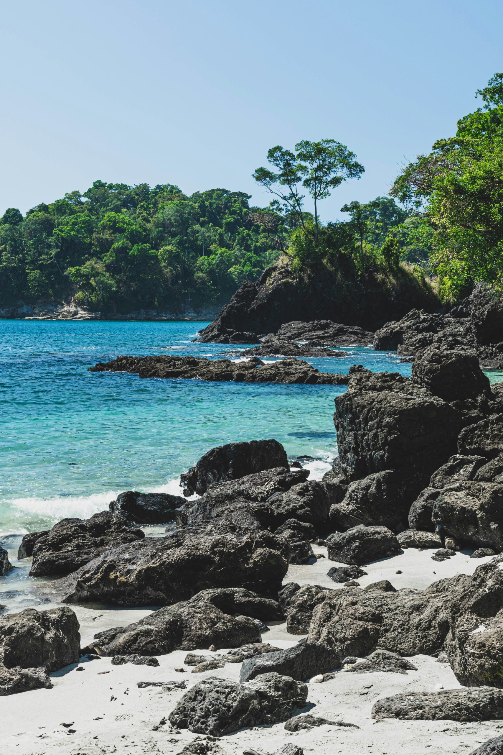 Rocky shoreline with dark boulders and white sand, bordered by clear turquoise sea. Lush green trees line the horizon under a bright blue sky.