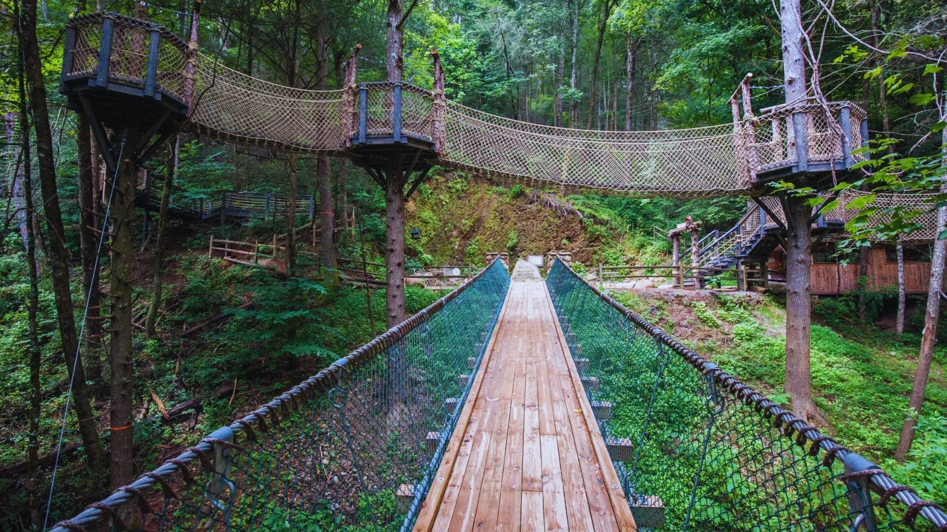 A wooden bridge with rope railings leads into a lush forest. Above, interconnected elevated platforms and rope walkways are nestled among green trees.