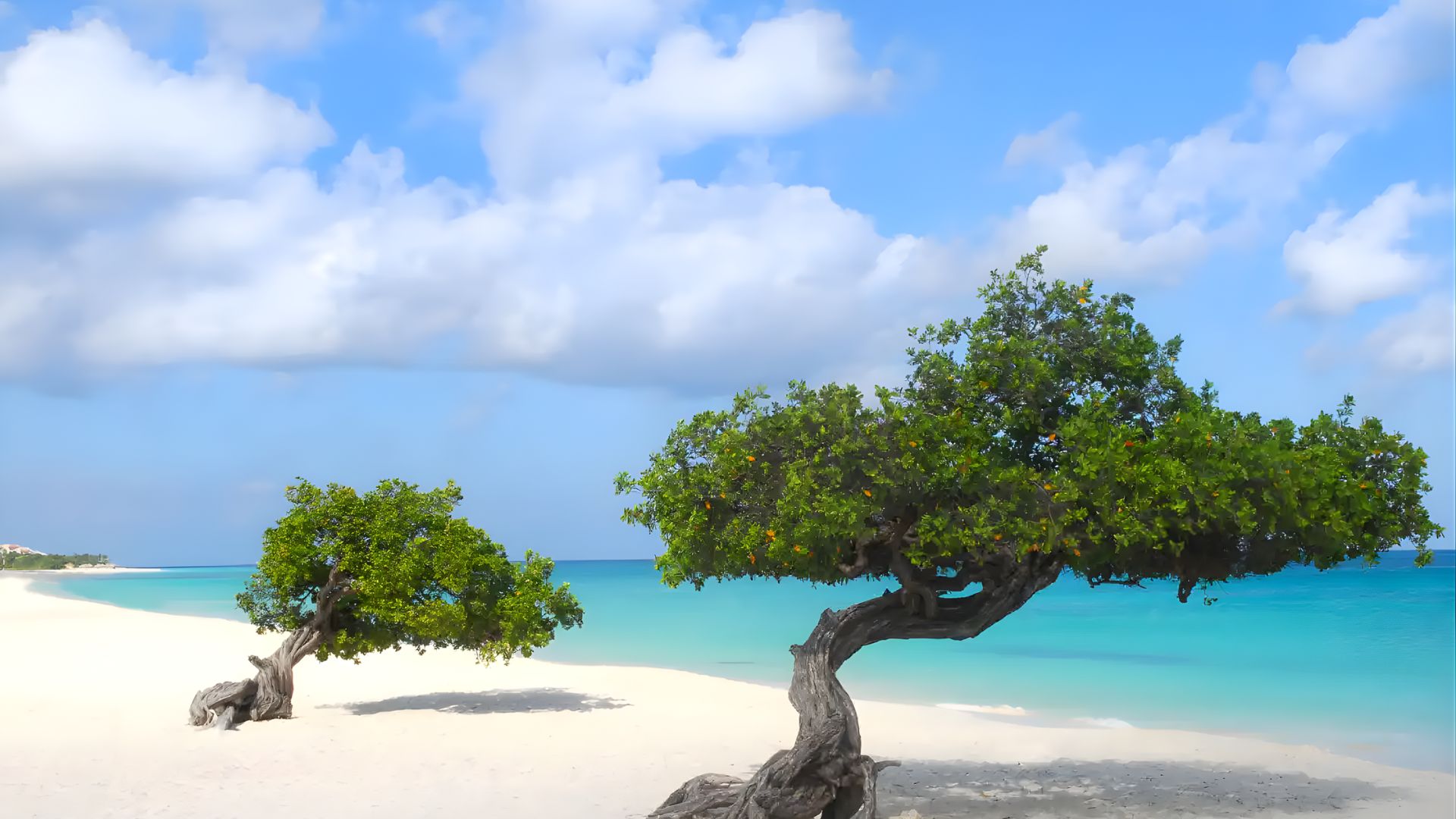 Serene beach scene with two windswept trees on white sand, facing a turquoise sea under a partly cloudy blue sky. Relaxing and picturesque setting.