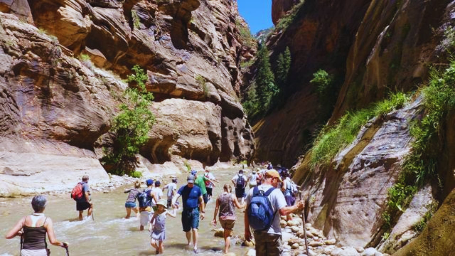 Start Early to Avoid Crowds