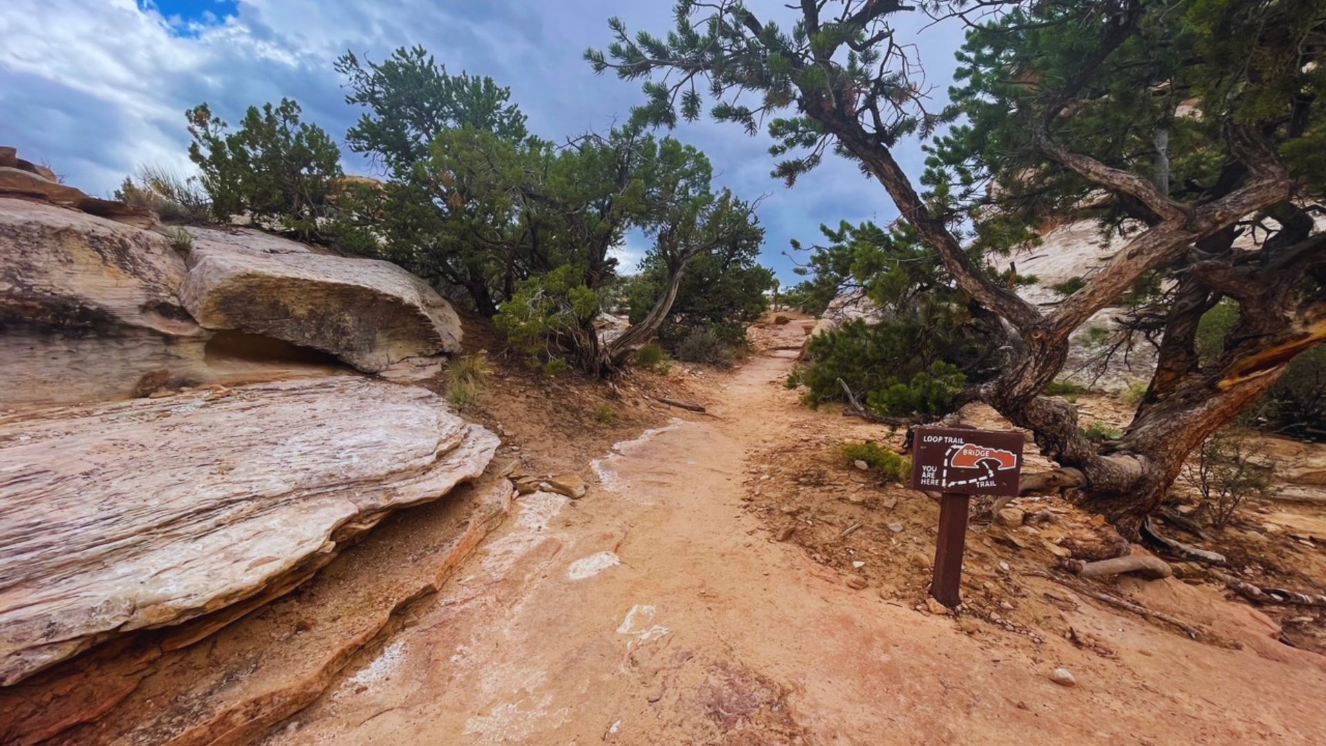 A desert trail lined with rocks and sparse trees under a clear blue sky.