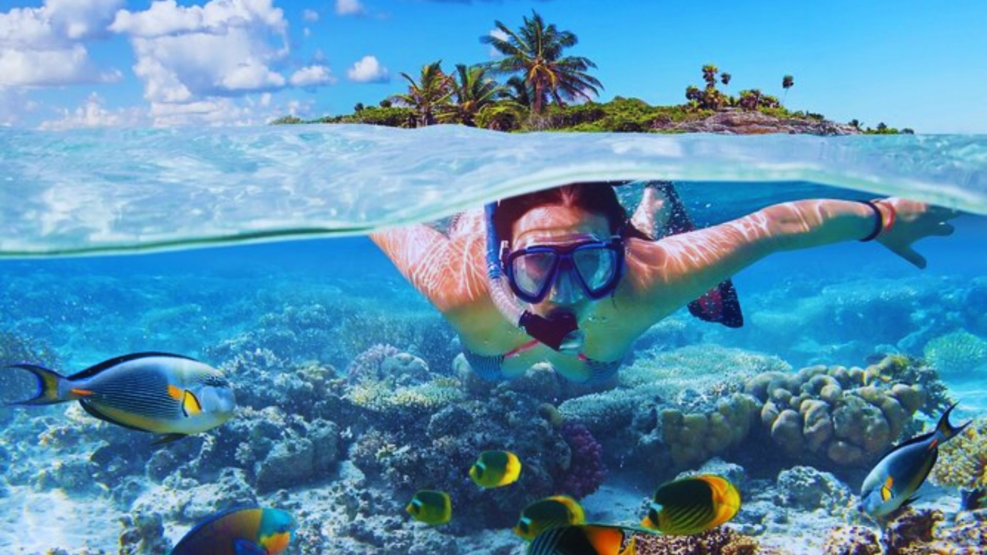 Snorkel at Hanauma Bay