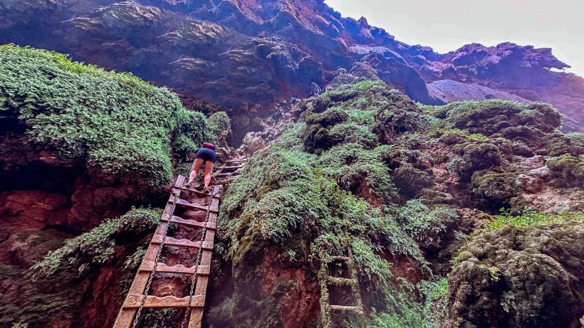 A person climbs a wooden ladder against a steep cliff covered in lush green moss, under a clear sky. The scene conveys a sense of adventure and determination.