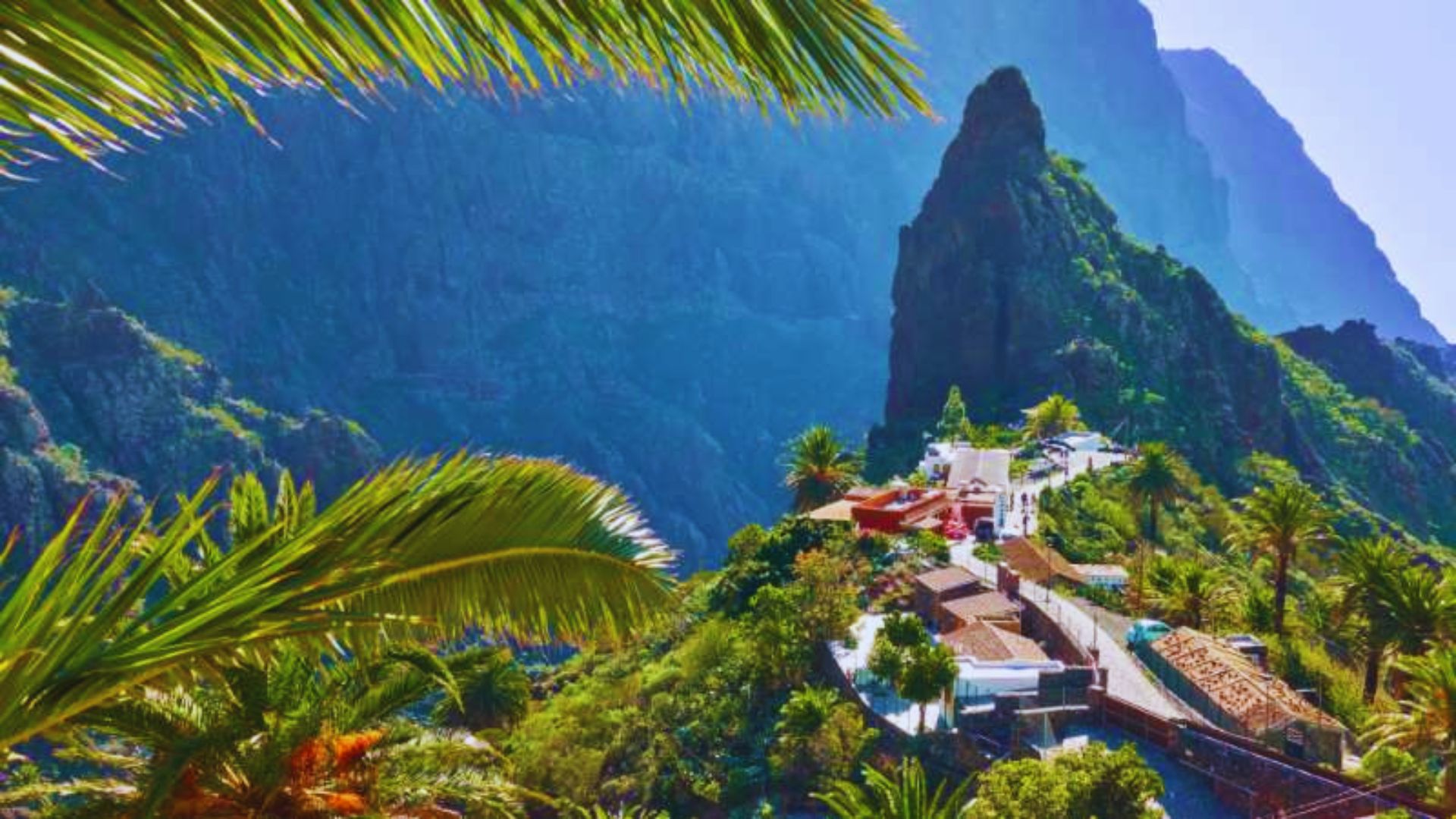A scenic view of a mountain surrounded by palm trees, with a winding road leading through the landscape.