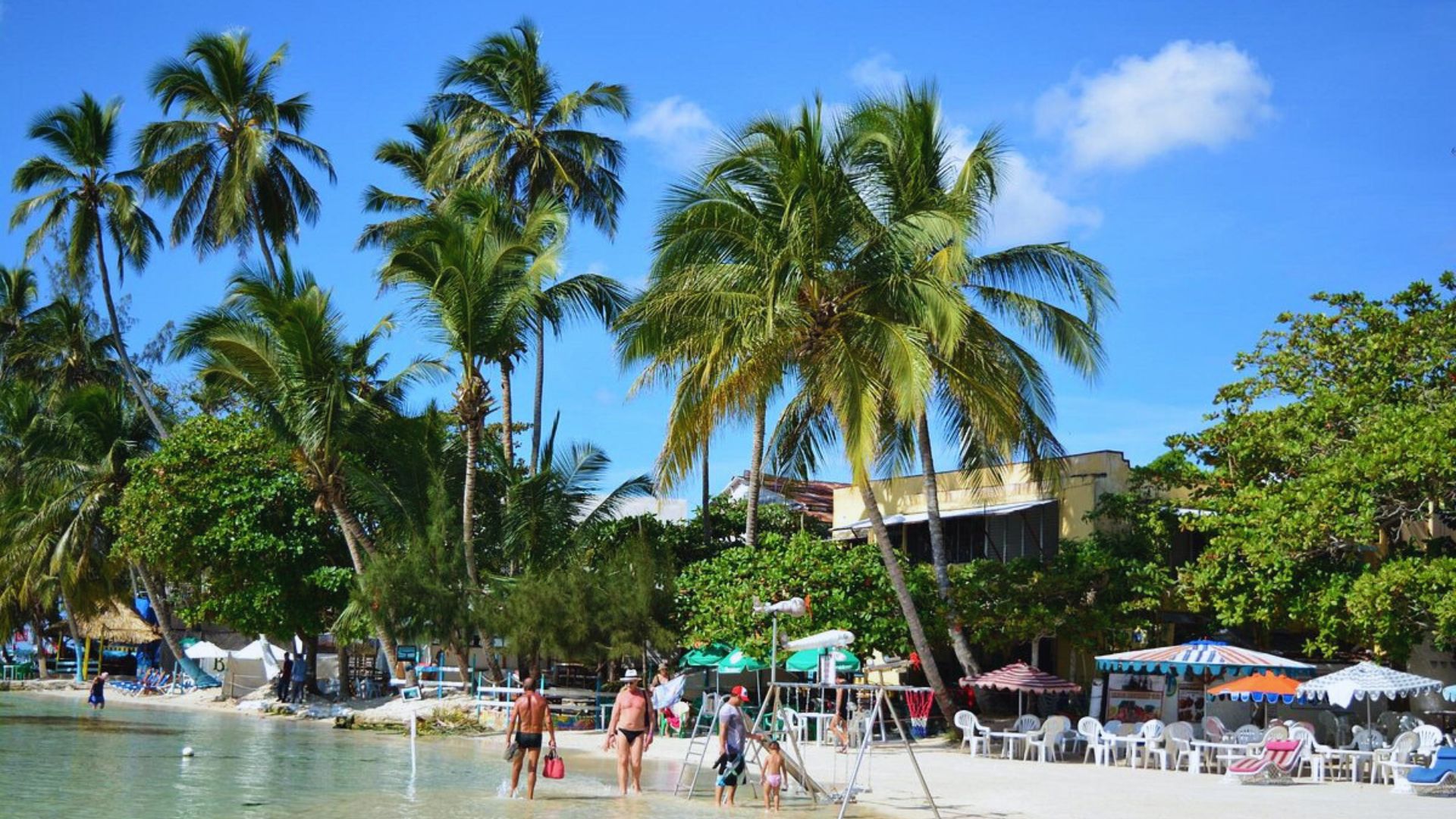 People stroll along a sandy beach lined with palm trees, enjoying the sunny day and ocean views.