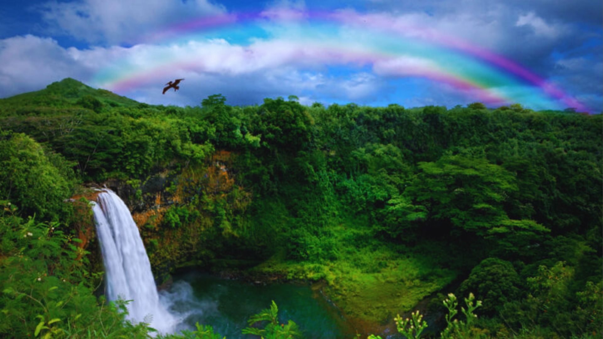 A vibrant rainbow arcs over a cascading waterfall in Hawaii, surrounded by lush greenery and mist.