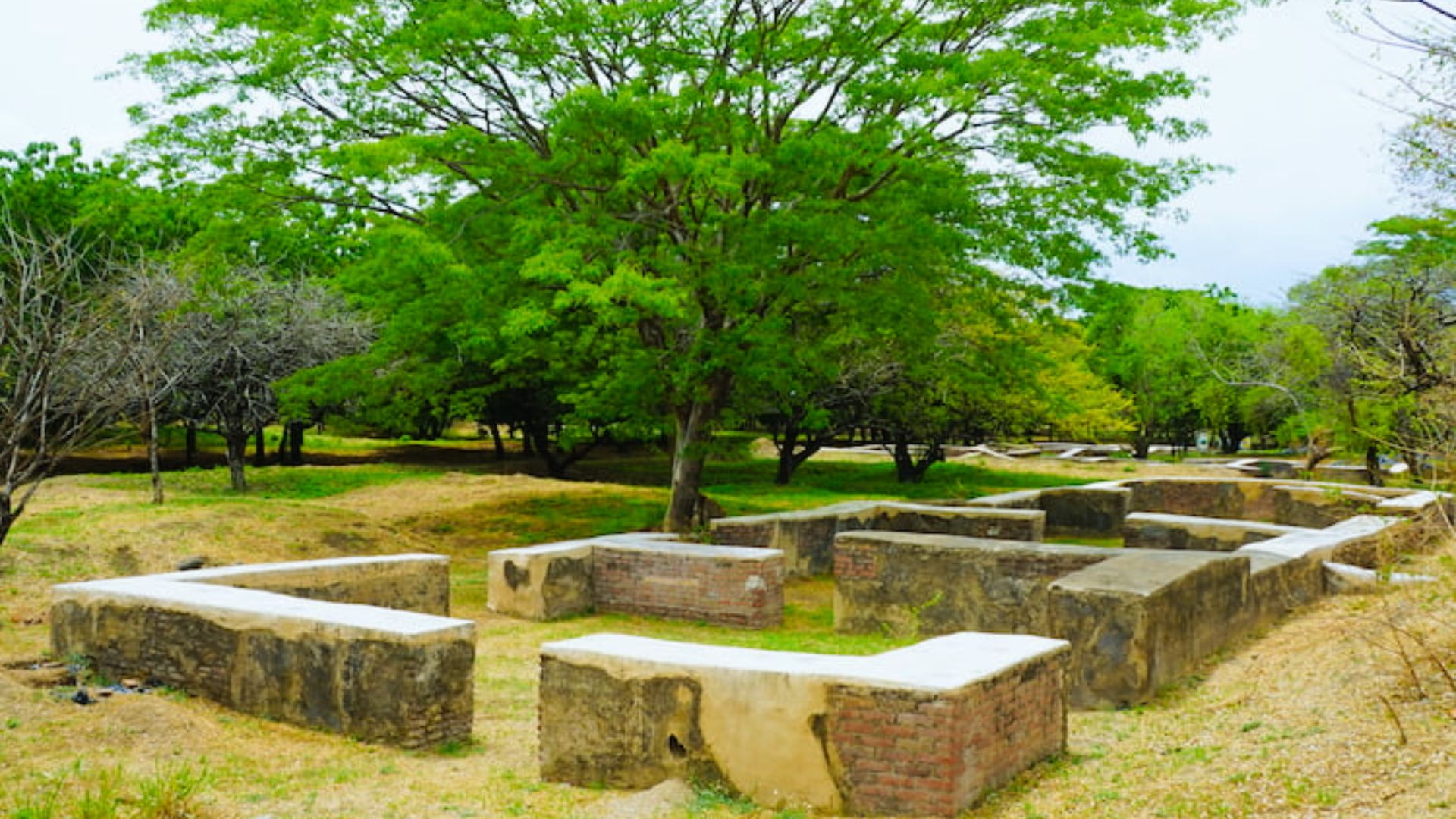 Ancient masonry ruins form rectangular outlines on grassy terrain. Lush green trees surround the site, creating a serene and historic atmosphere.