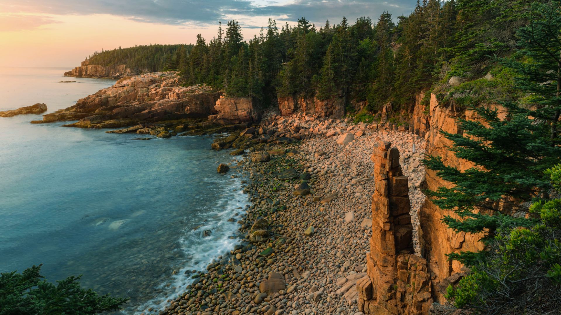 Rocky coastline at sunrise in Acadia National Park, featuring a pebbled beach, evergreen trees, and calm blue ocean, creating a serene atmosphere.