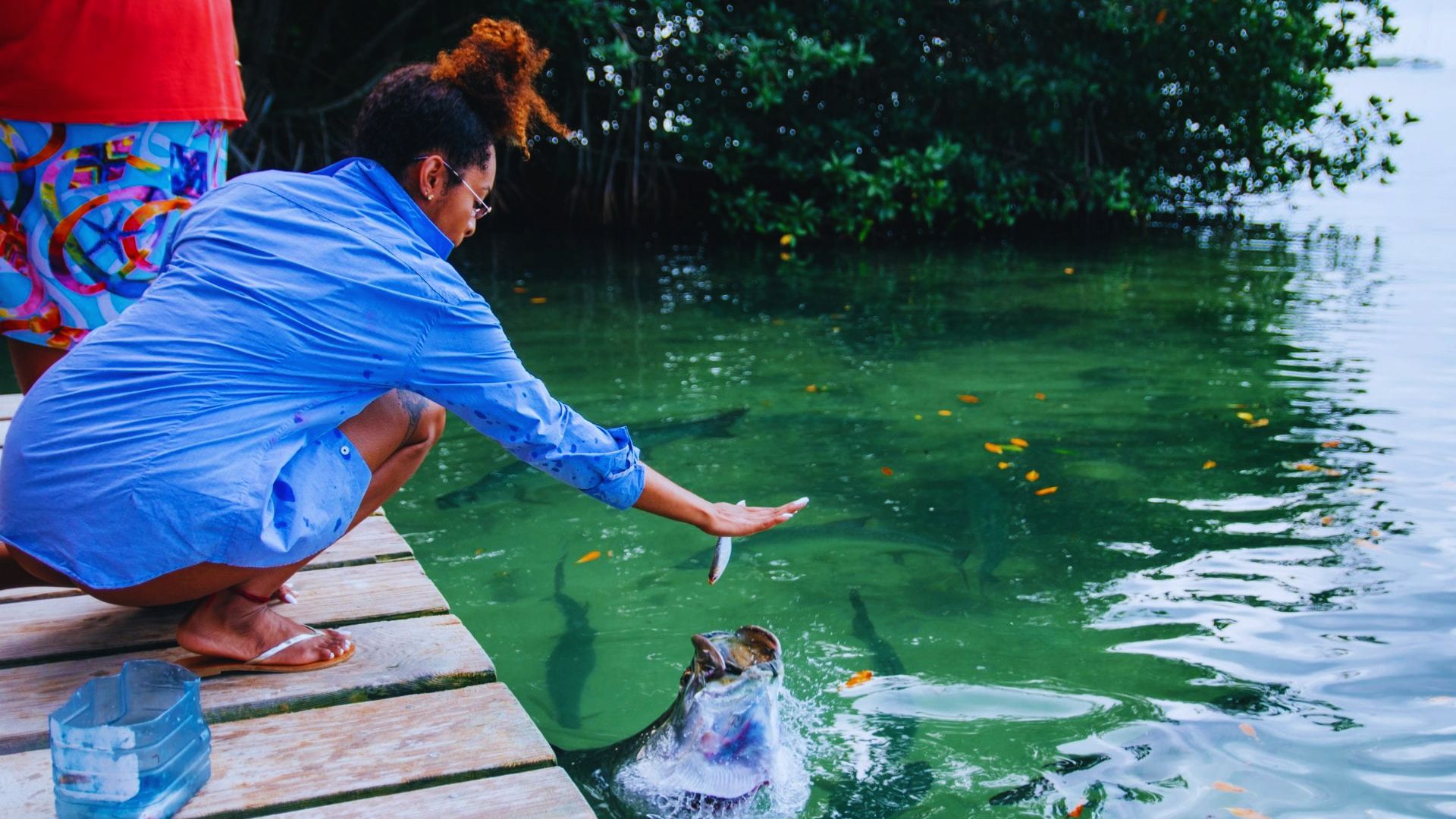 A woman feeds fish from a dock, surrounded by water and a serene outdoor setting.