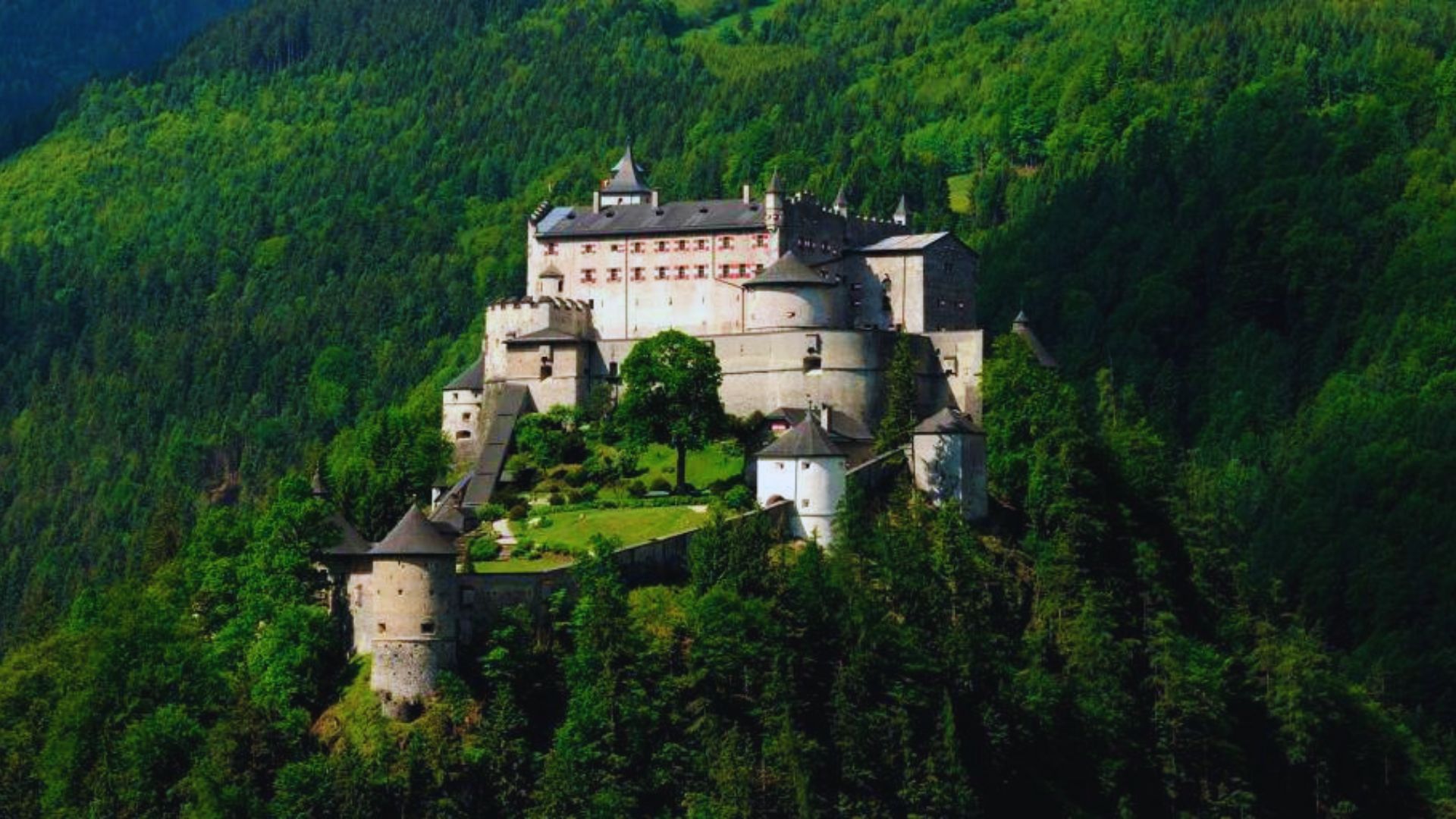 A majestic castle perched atop a mountain, surrounded by lush green trees under a clear blue sky.