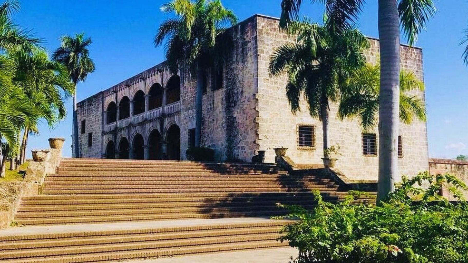 Steps leading to a building are flanked by tall palm trees, creating a tropical and inviting atmosphere.