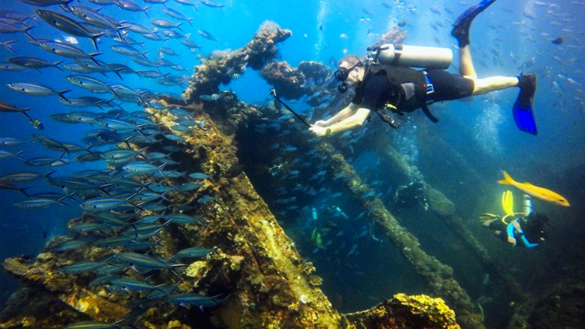 A diver explores a vibrant underwater scene with a school of fish near an old shipwreck, conveying a sense of adventure and marine beauty.