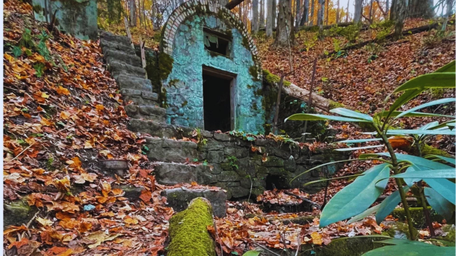 Stone entrance of an old, mossy structure surrounded by autumn leaves and trees. A set of stairs leads up, conveying a mysterious, hidden feel.