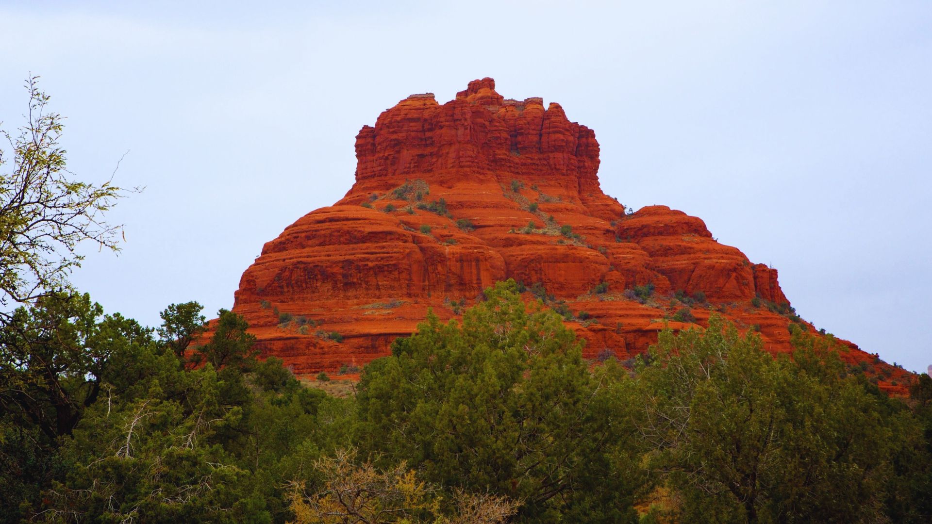 A striking red rock formation surrounded by lush green trees in a dense forest setting.