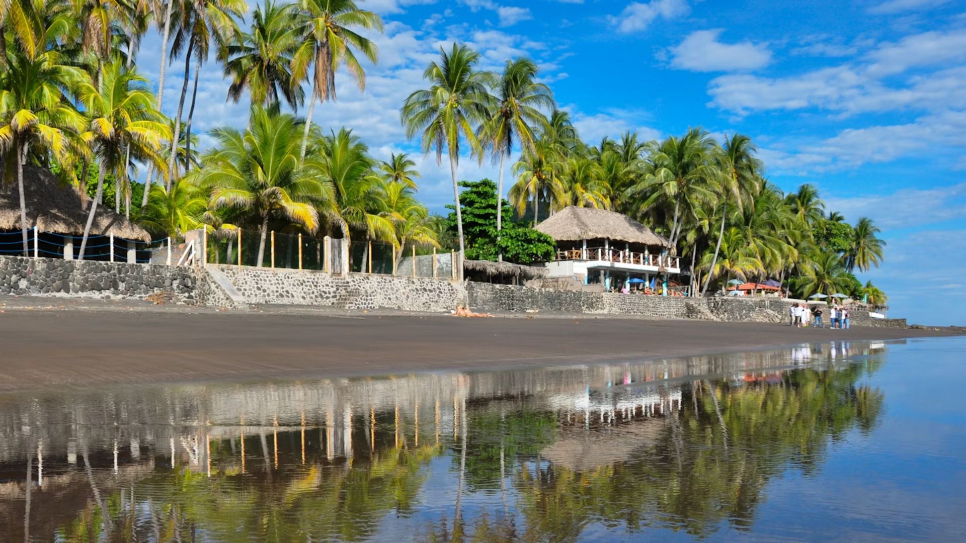 A serene beach scene featuring palm trees and a hut along the sandy shore under a clear blue sky.