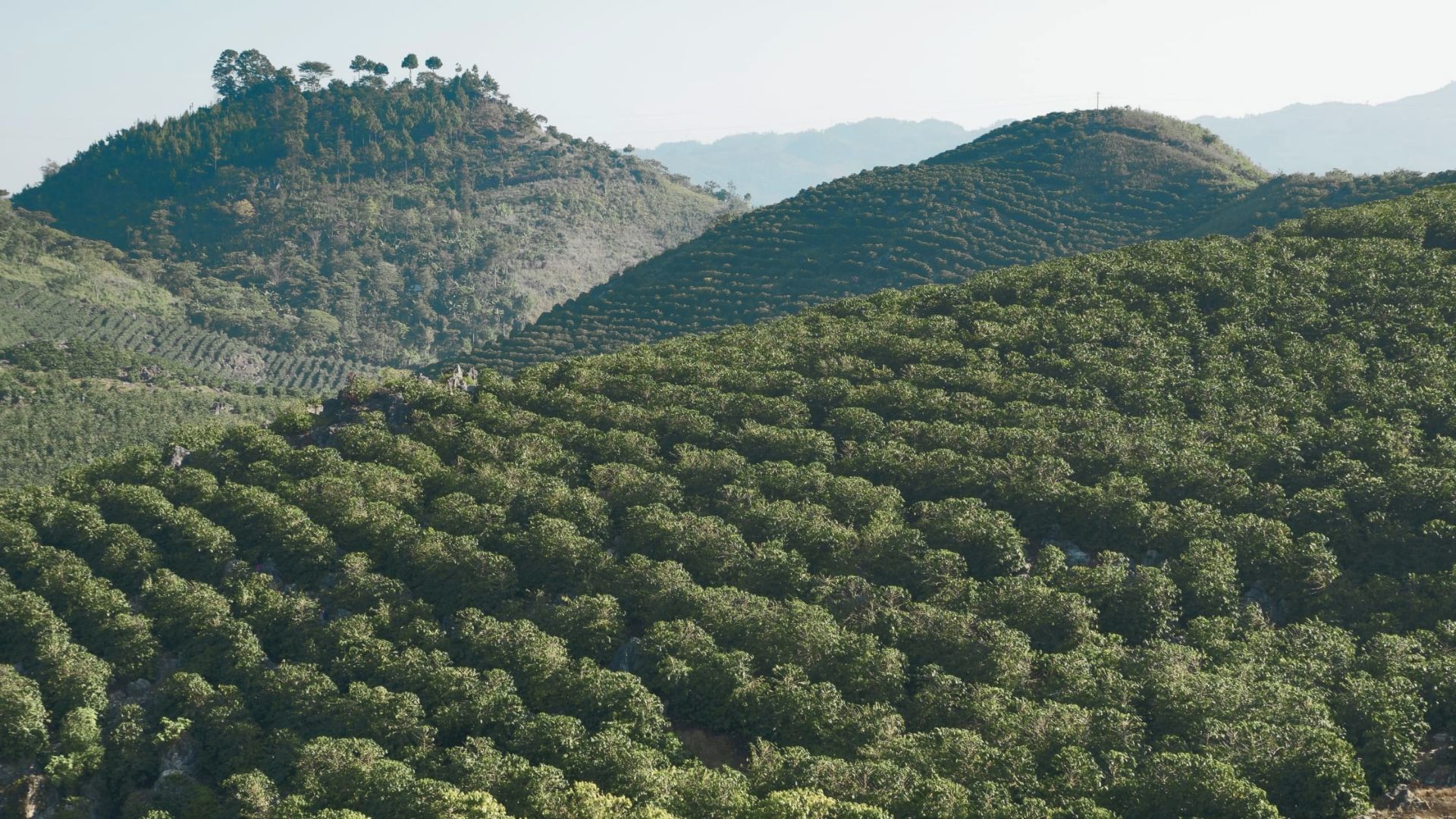 Rolling hills lush with green vegetation stretch into the distance, creating a serene and expansive landscape under a clear sky.
