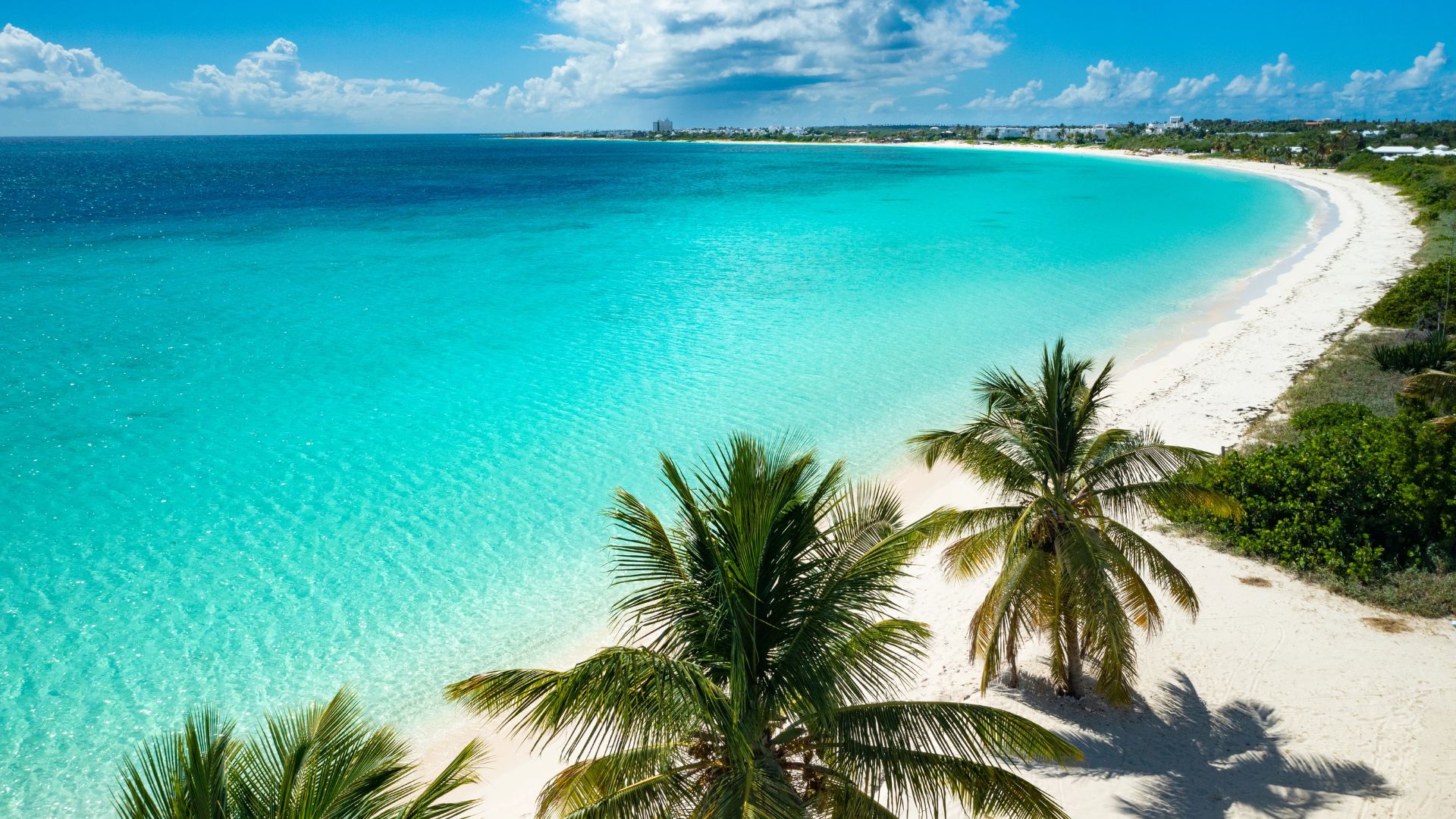 Aerial view of a serene tropical beach with turquoise water, white sand, and scattered palm trees under a blue sky with fluffy clouds.