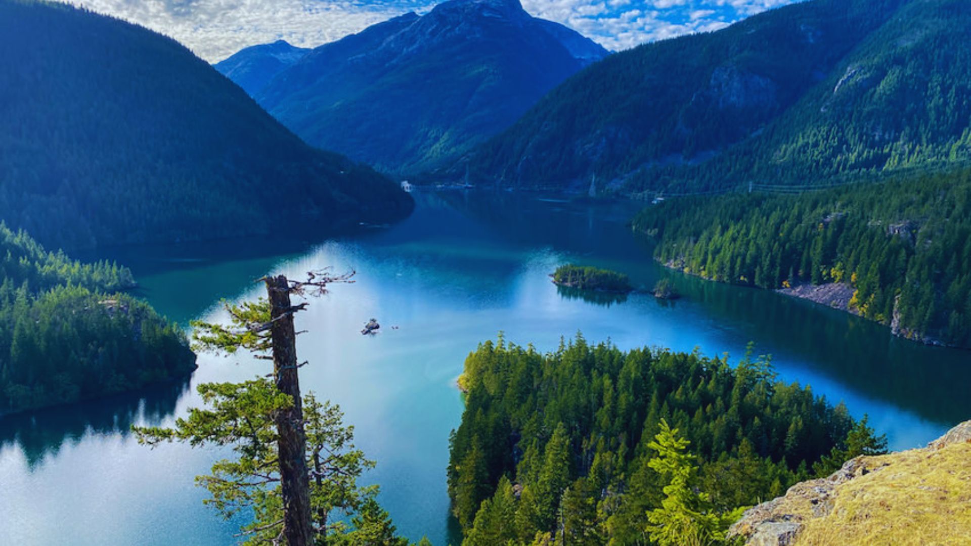 Serene mountain landscape with a clear blue lake, surrounded by lush green forests. A single tree stands in the foreground, under a vibrant blue sky.