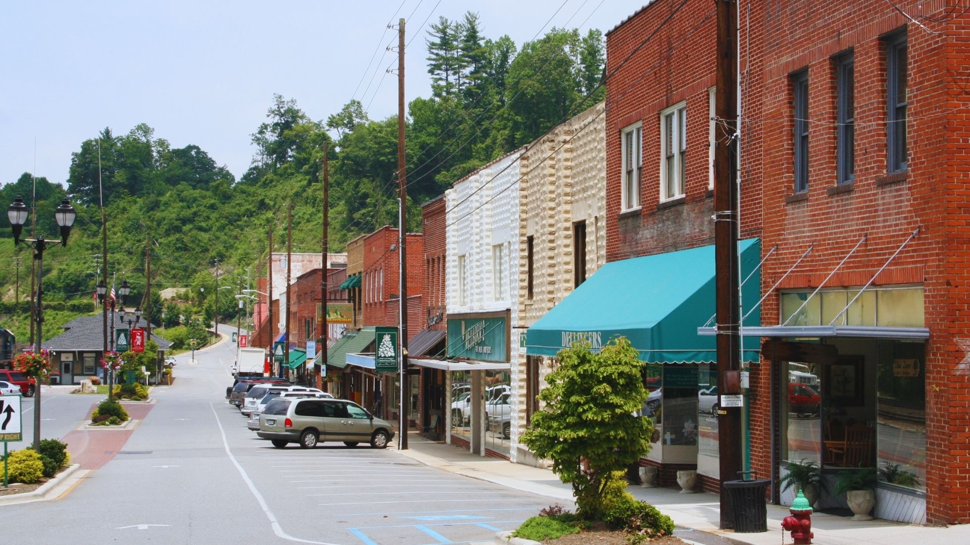 Spruce Pine