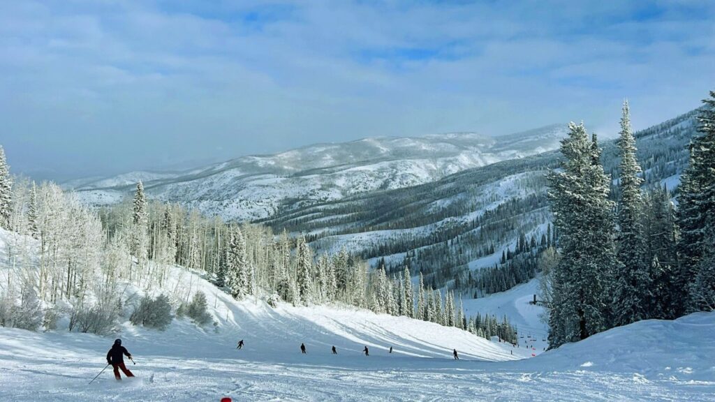 Skiers descend a snowy mountain slope surrounded by frosted trees under a cloudy sky, with distant snow-covered peaks creating a serene winter scene.