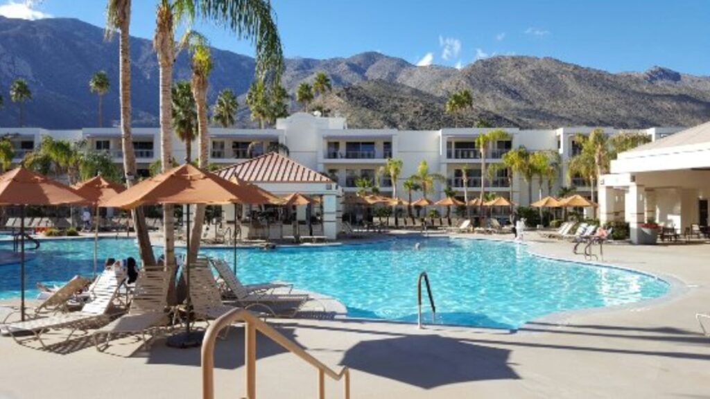 A serene pool surrounded by palm trees at the Palm Springs resort, inviting relaxation under the clear blue sky.