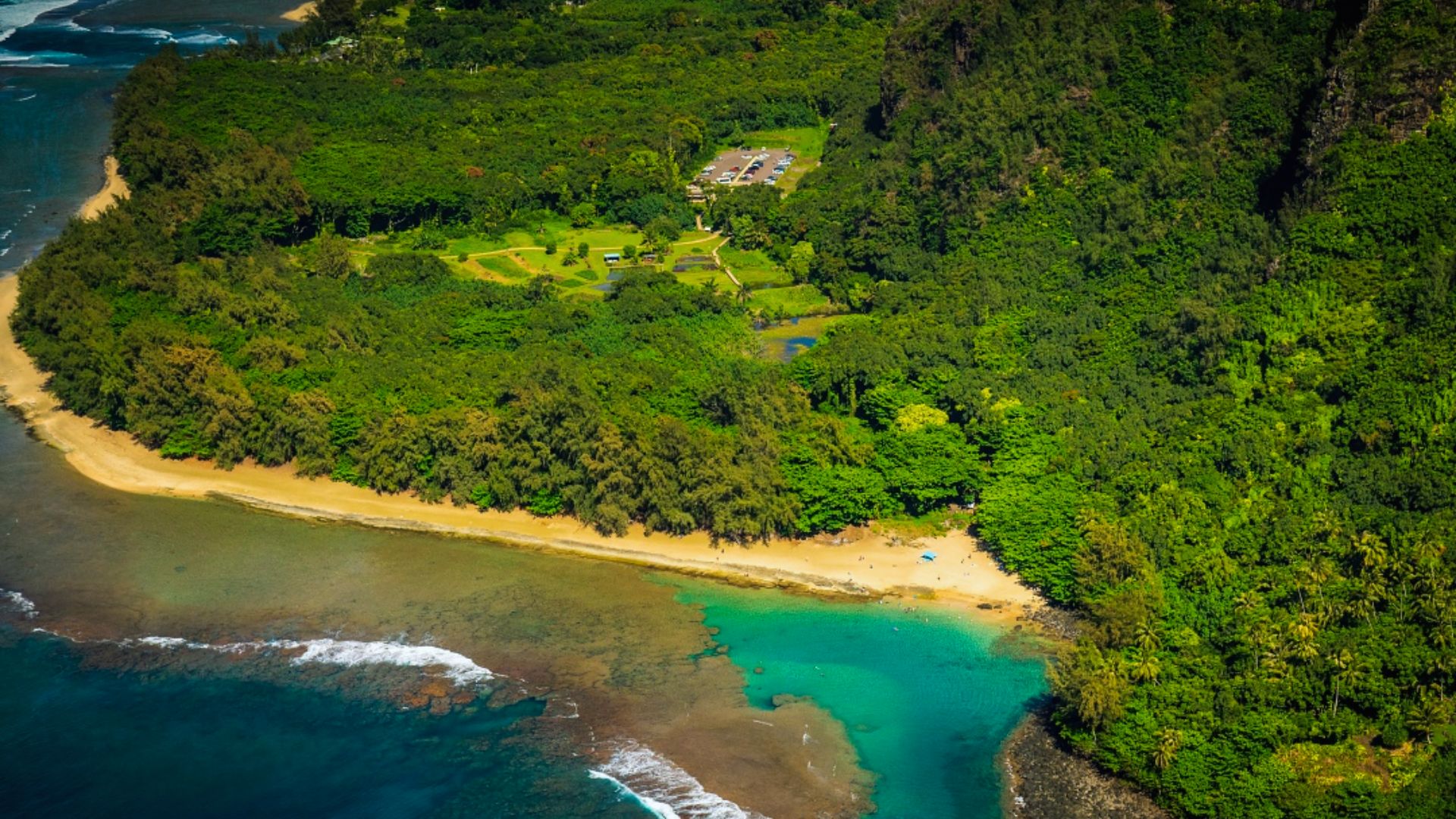 Aerial view of a lush green coastline with dense forest, a sandy beach, and vibrant turquoise water. The tranquil scene conveys serenity and natural beauty.