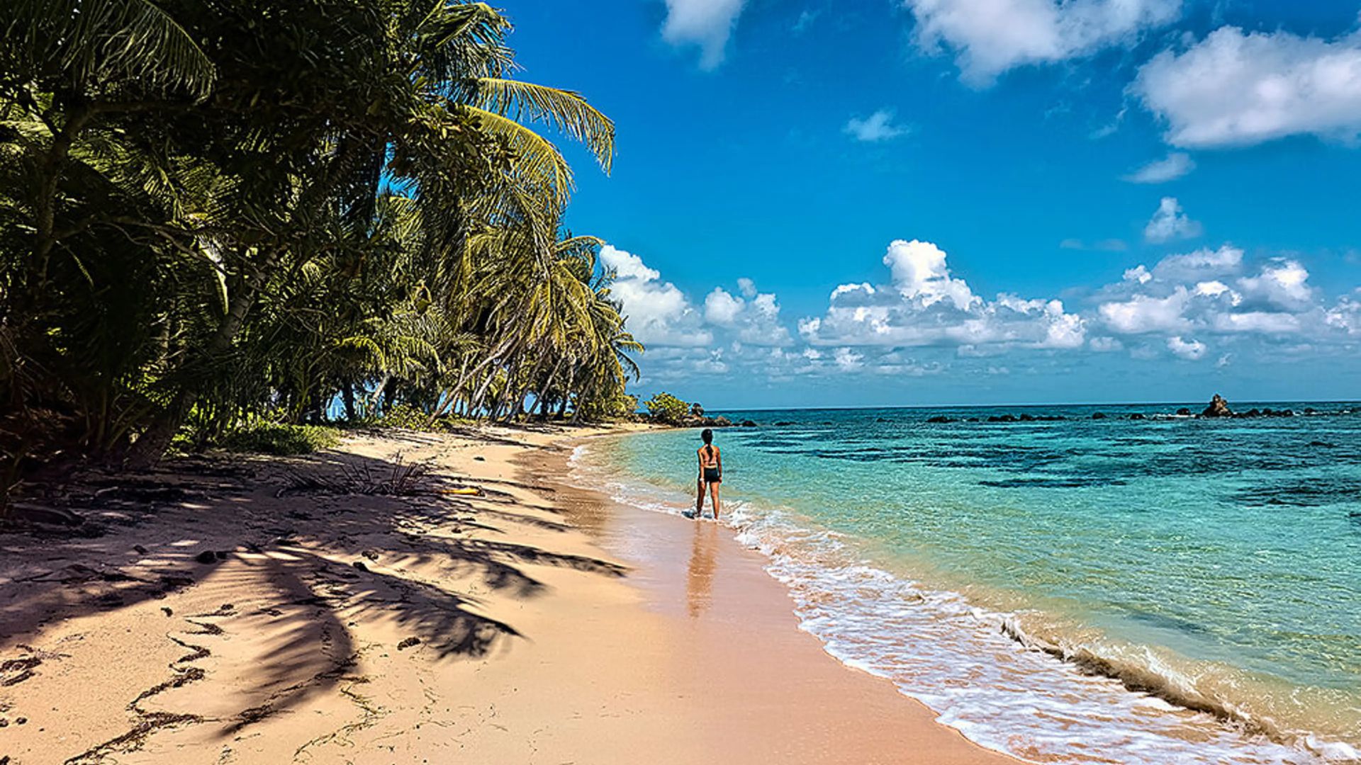 A serene beach scene with a lone person walking on golden sand beside turquoise waters. Palm trees line the shore under a bright blue sky with fluffy clouds.