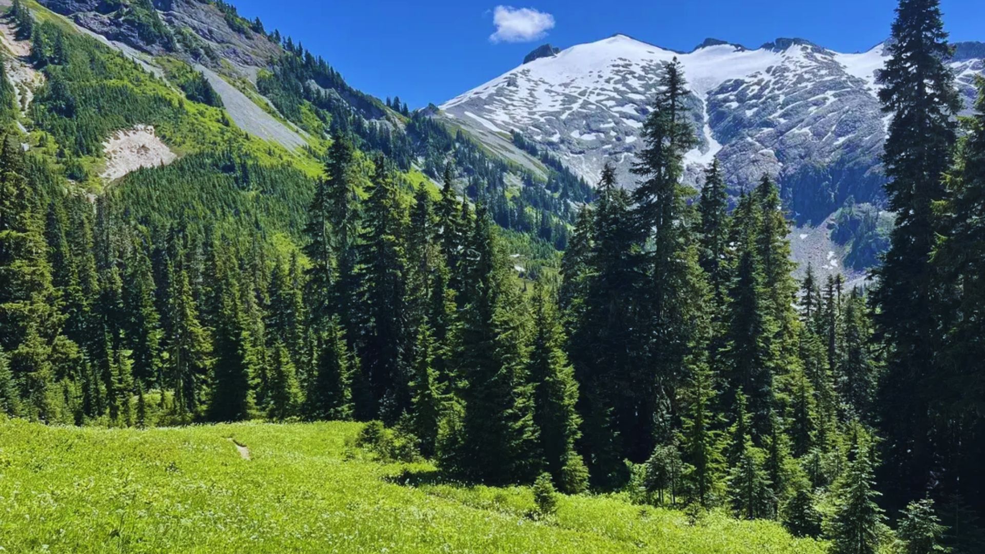 A serene mountain landscape with snow-capped peaks in the background, lush green forest and meadow in the foreground under a clear blue sky.