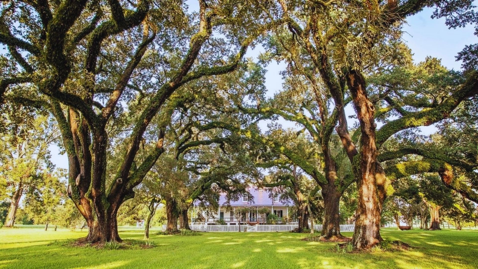 Visit Magnolia Plantation Complex