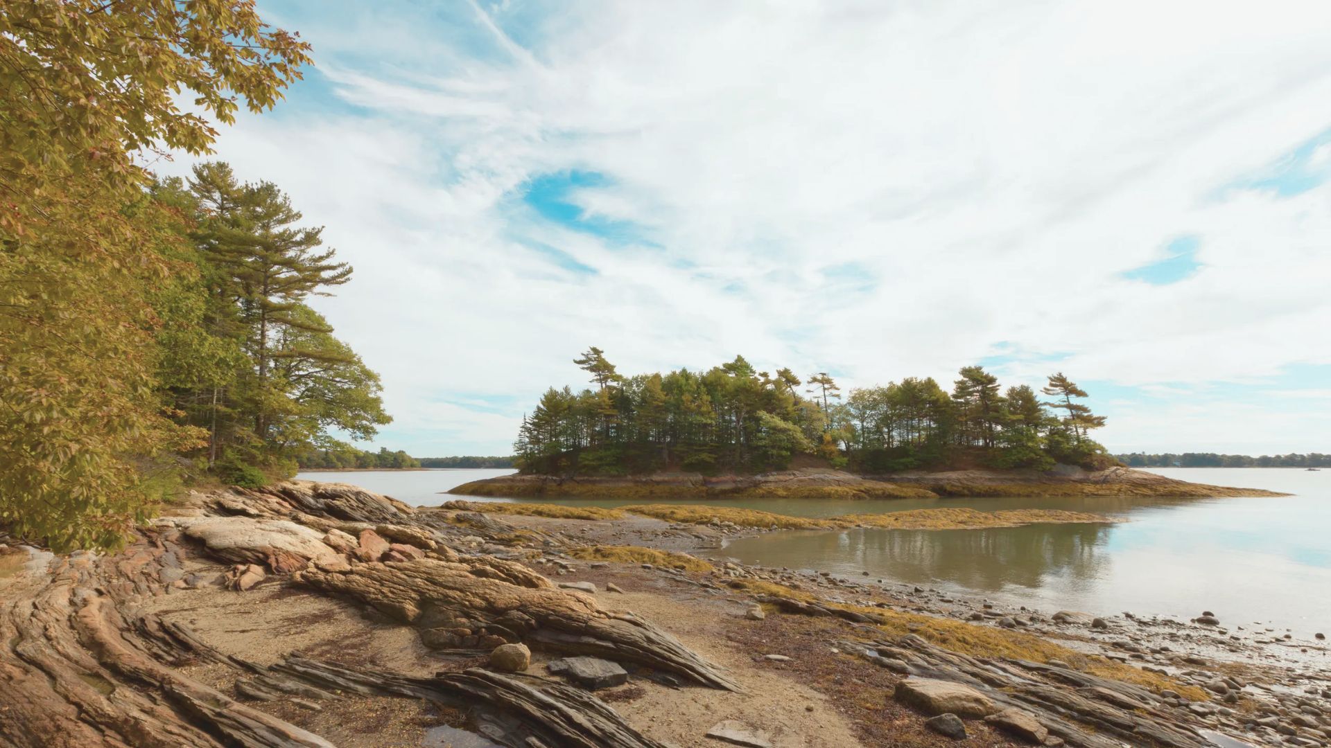 A serene coastal landscape featuring rocky shores and a small, tree-covered island under a bright blue sky with scattered clouds, conveying tranquility.
