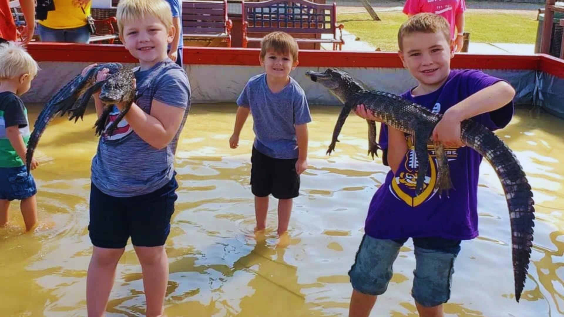 Three boys hold an alligator in a pond, showcasing their adventurous spirit and interaction with wildlife.
