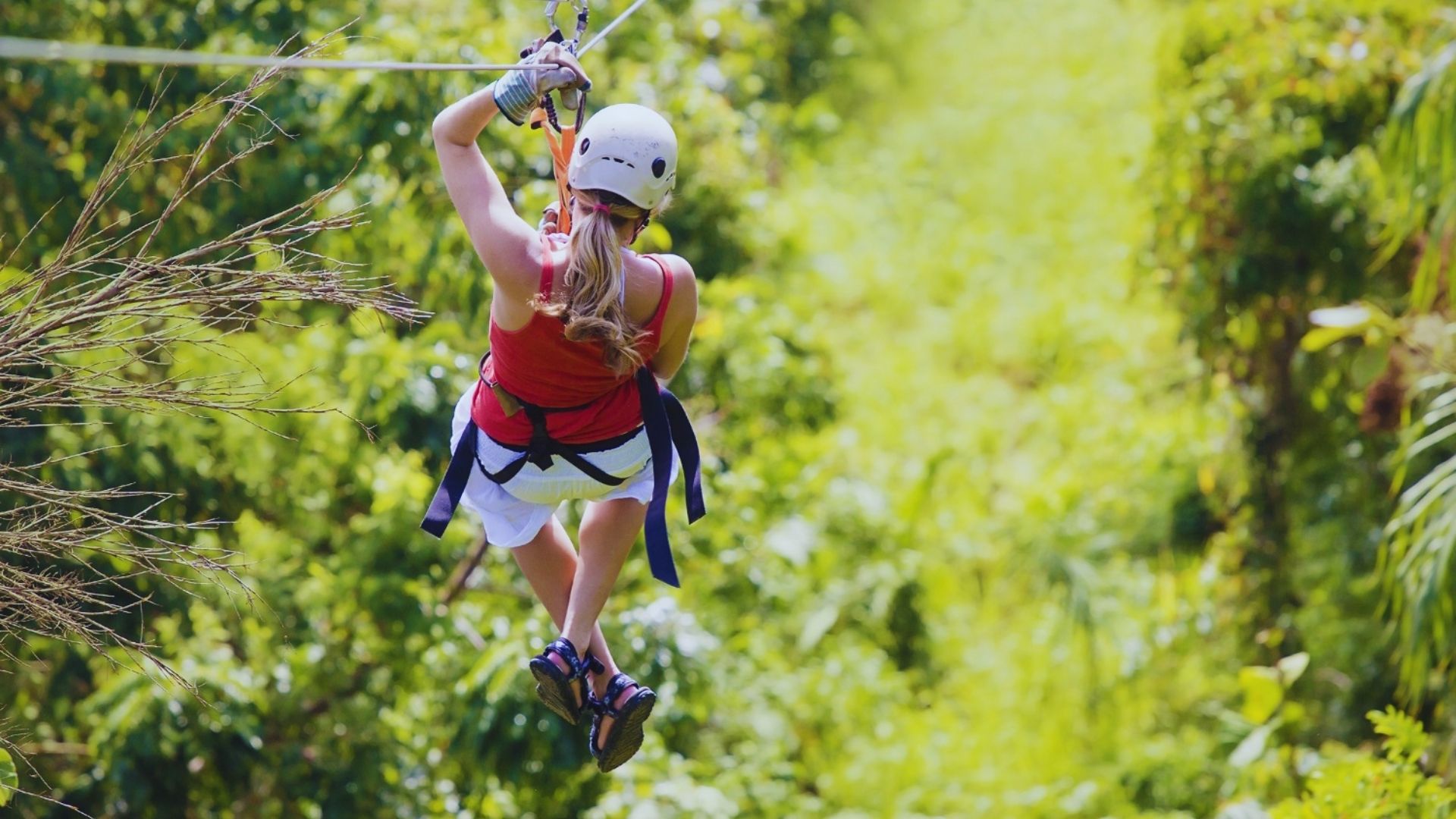 Go Ziplining or Try Adventure Ropes