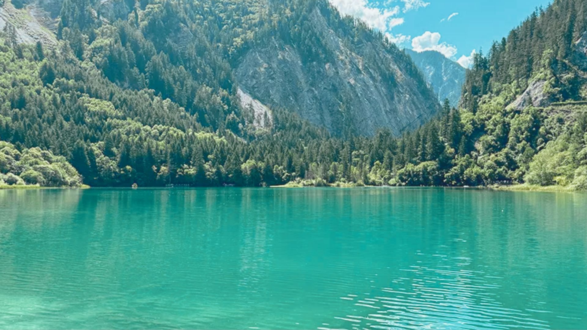 A serene lake with turquoise water reflects lush green pine forests and rugged mountains under a clear blue sky, evoking a peaceful, tranquil mood.