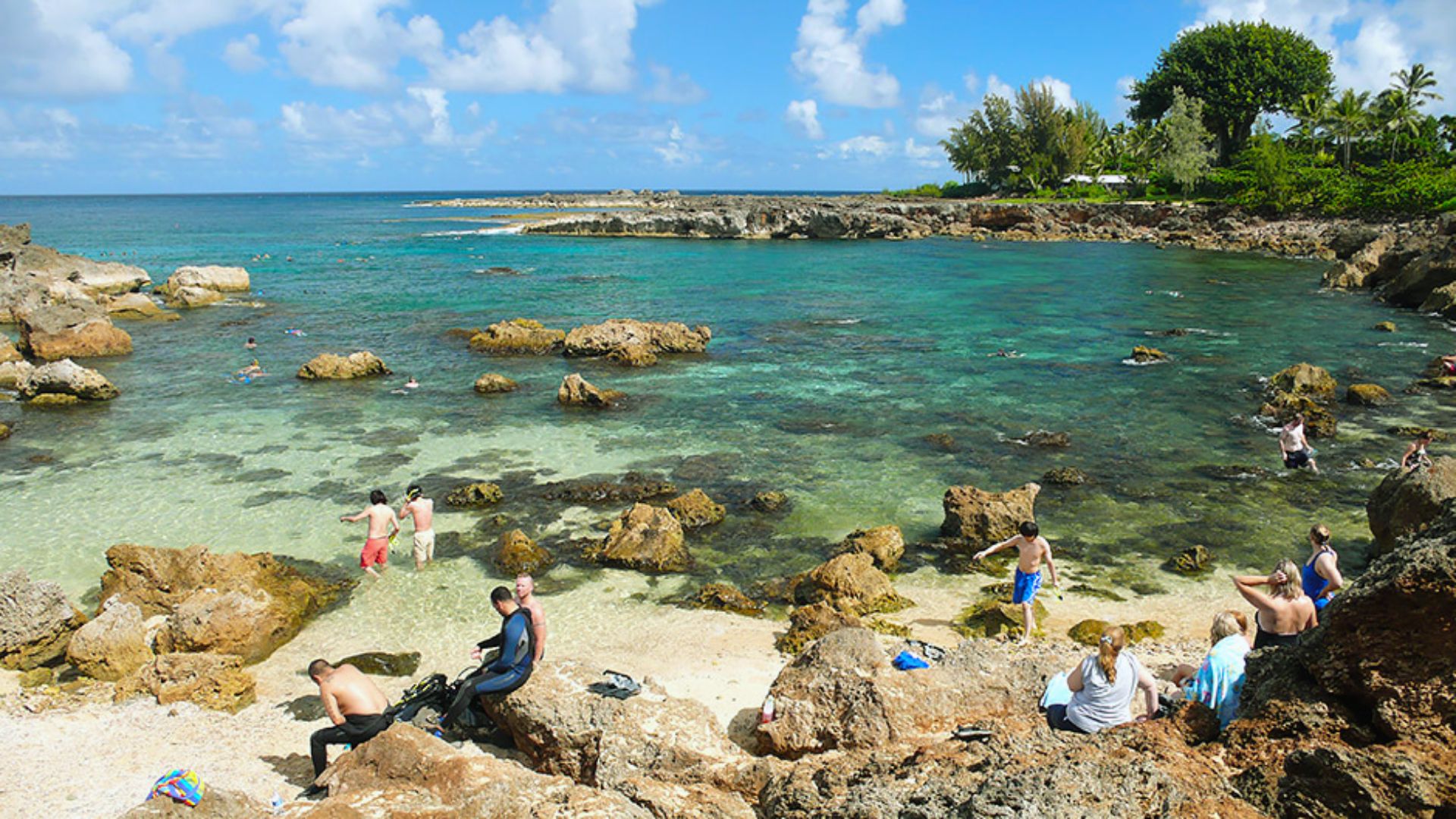 Snorkel at Shark's Cove