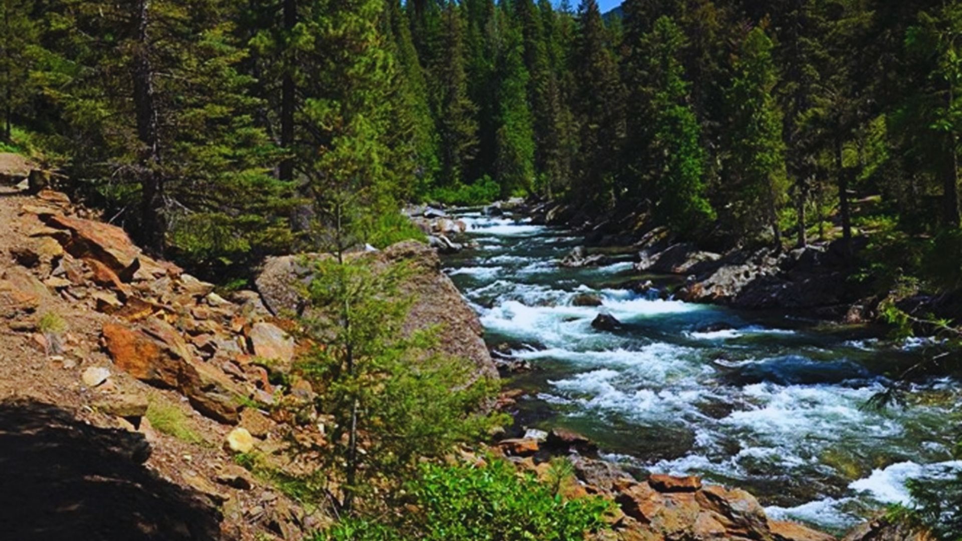 A serene river flows through a lush forest, surrounded by rocks and tall trees, creating a tranquil natural scene.