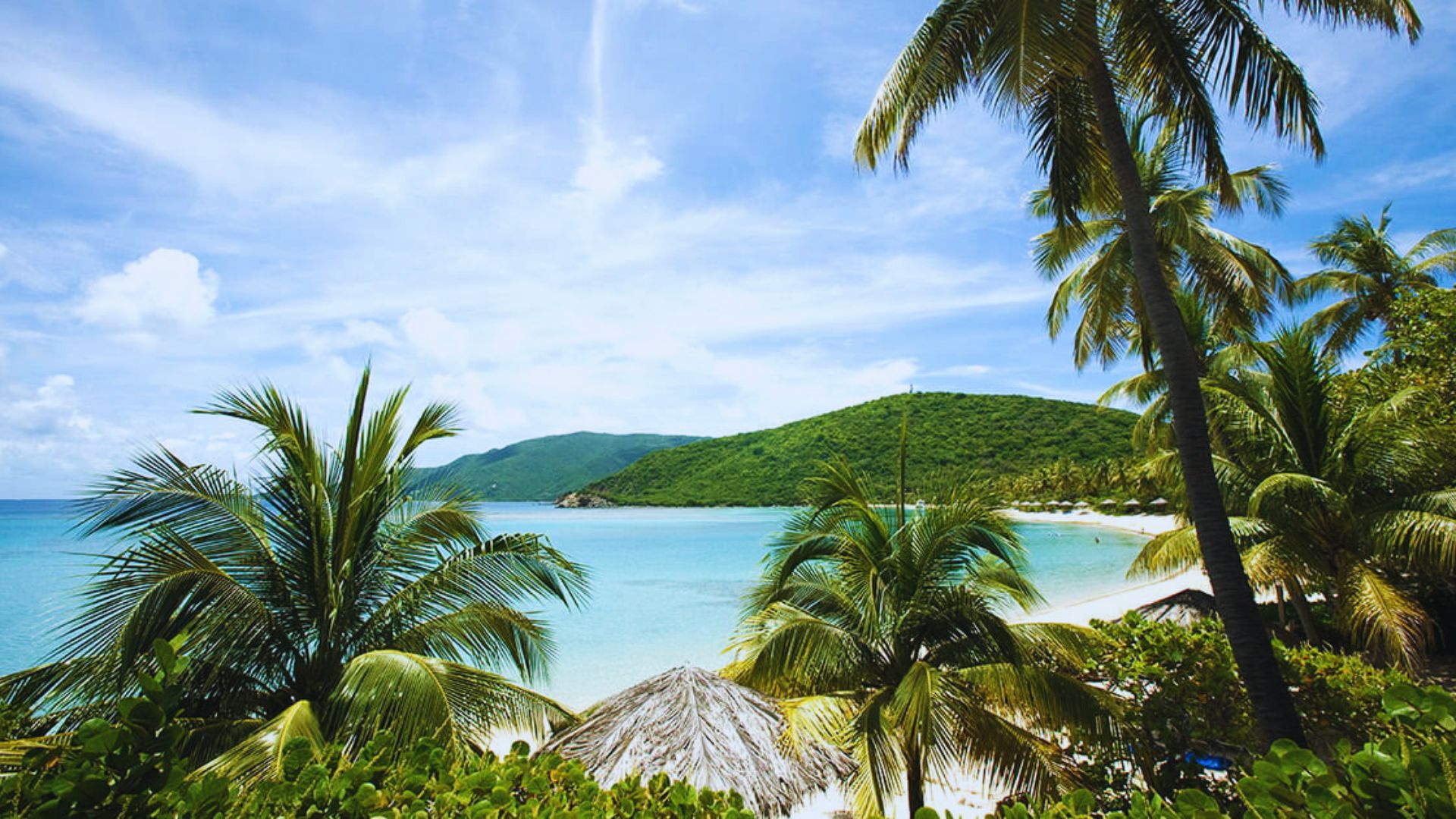 Tropical beach scene with lush palm trees framing a serene, turquoise sea and white sand. A thatched umbrella peeks out, evoking a peaceful, paradise-like atmosphere.