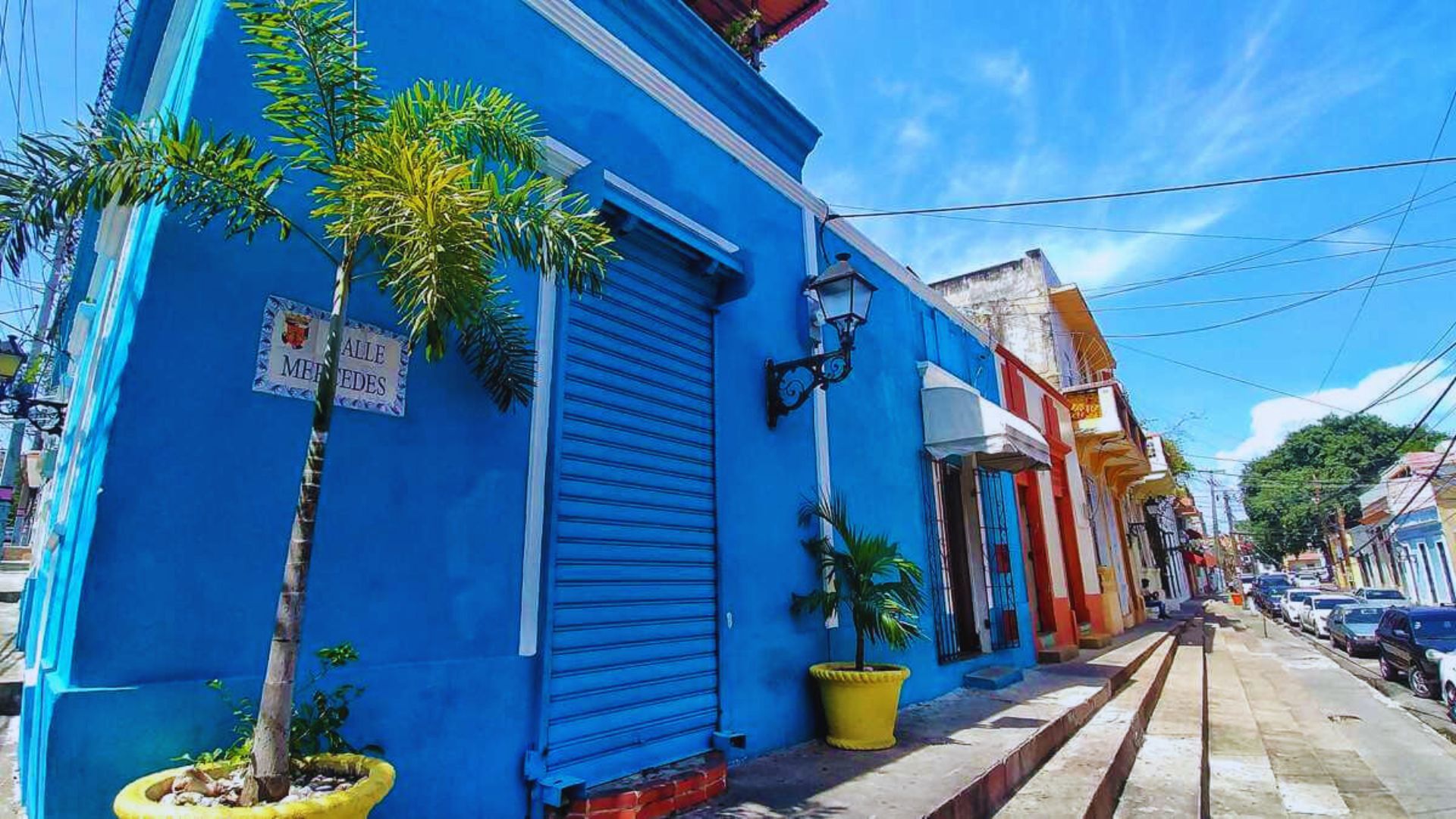 A colorful street view showcasing a blue building alongside a decorative potted plant, enhancing the lively atmosphere.
