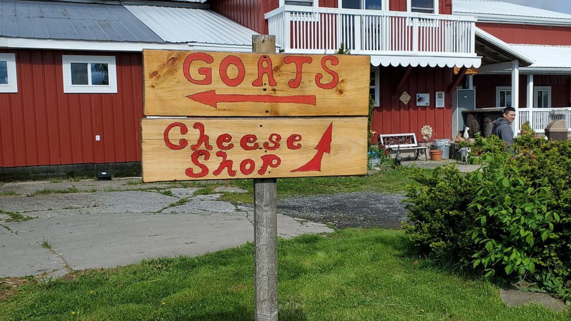 A sign reading "Gort's Cheese Shop" in front of a red barn, showcasing a rural cheese shop setting.